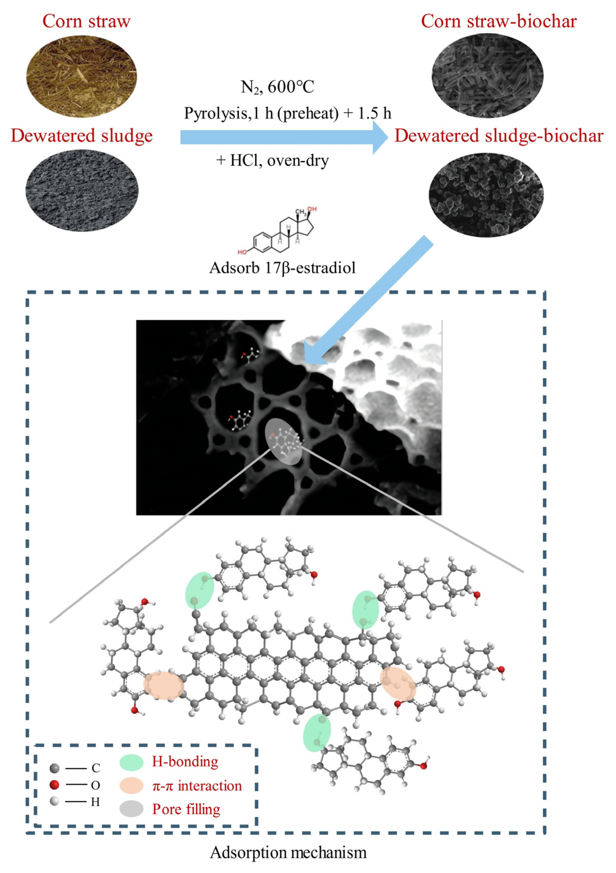 Lenen Doorzichtig Aan de overkant Molecules | Free Full-Text | Comparison of 17β-Estradiol Adsorption on Corn Straw- and Dewatered Sludge-Biochar in Aqueous Solutions Lenen Doorzichtig Aan de overkant Molecules | Free Full-Text | Comparison of 17β-Estradiol Adsorption on Corn Straw- and Dewatered Sludge-Biochar in Aqueous Solutions