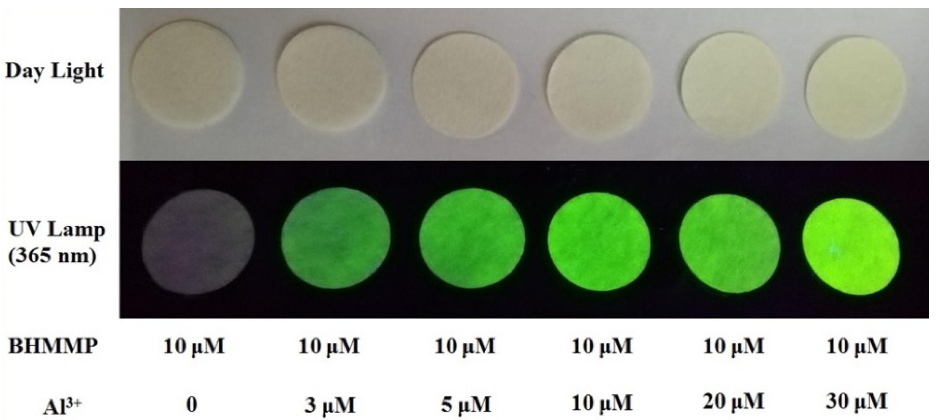 Molecules 27 02569 g010 550