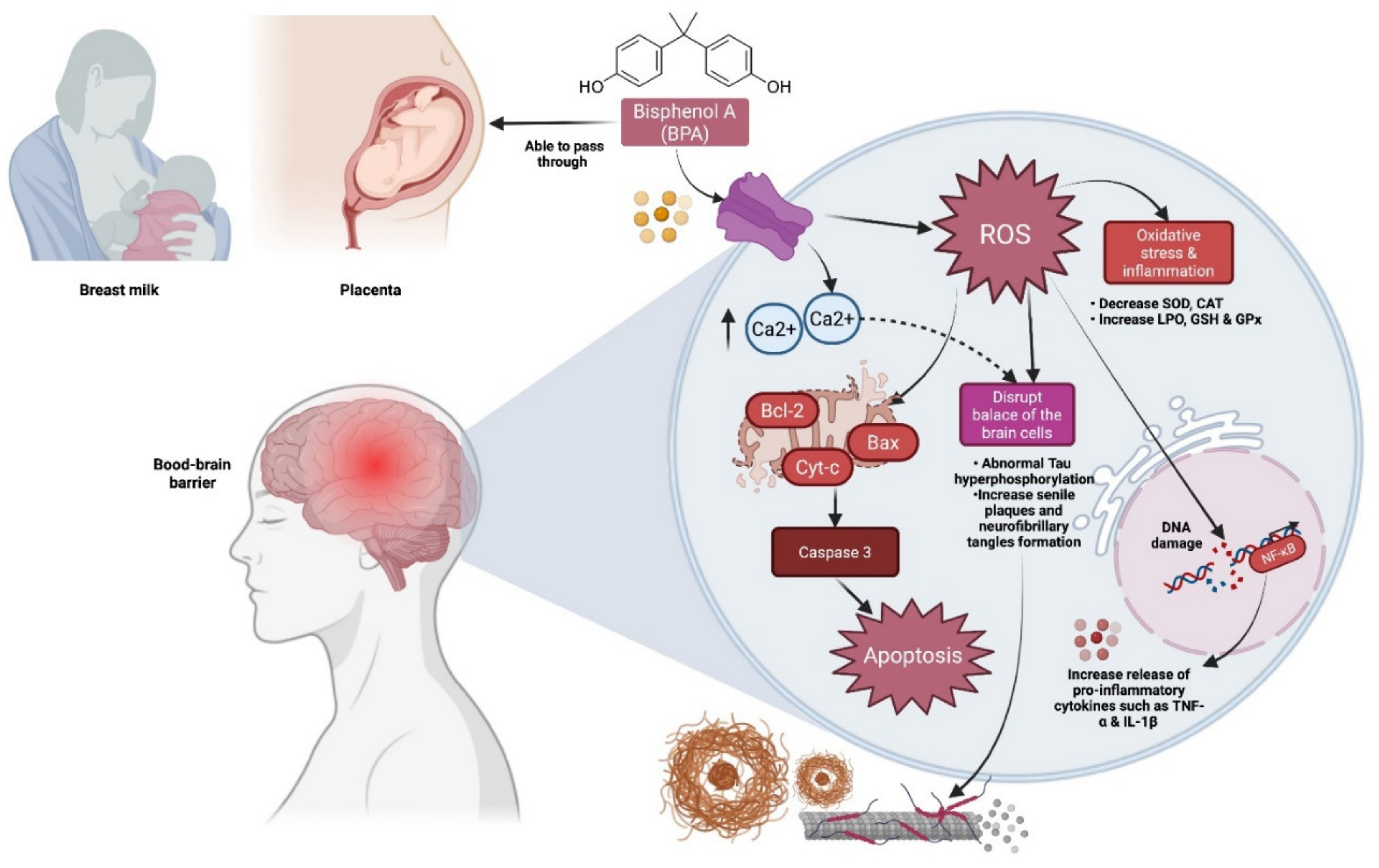 Molecules 27 02572 g001 550