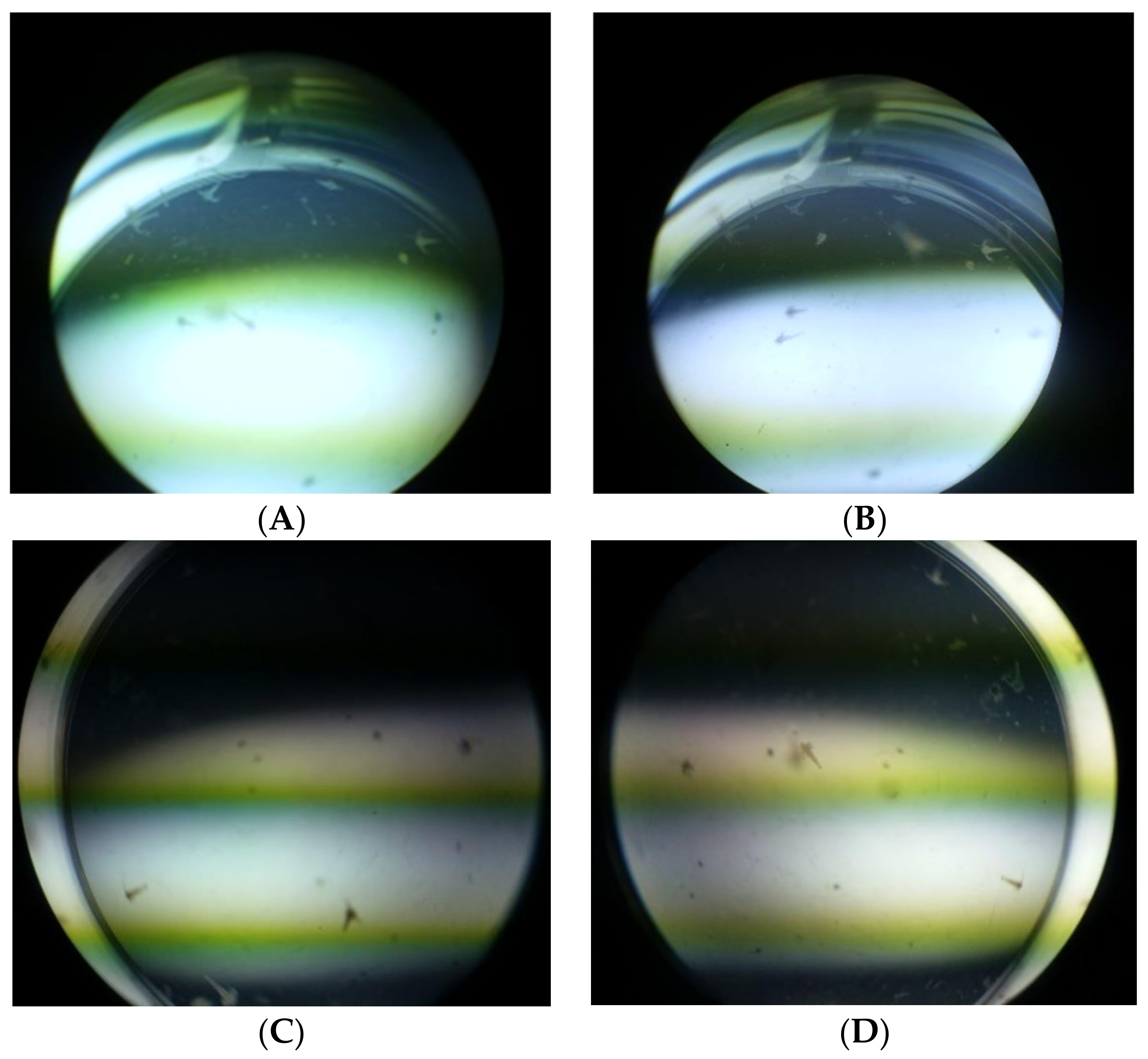 Molecules 27 02572 g002 550
