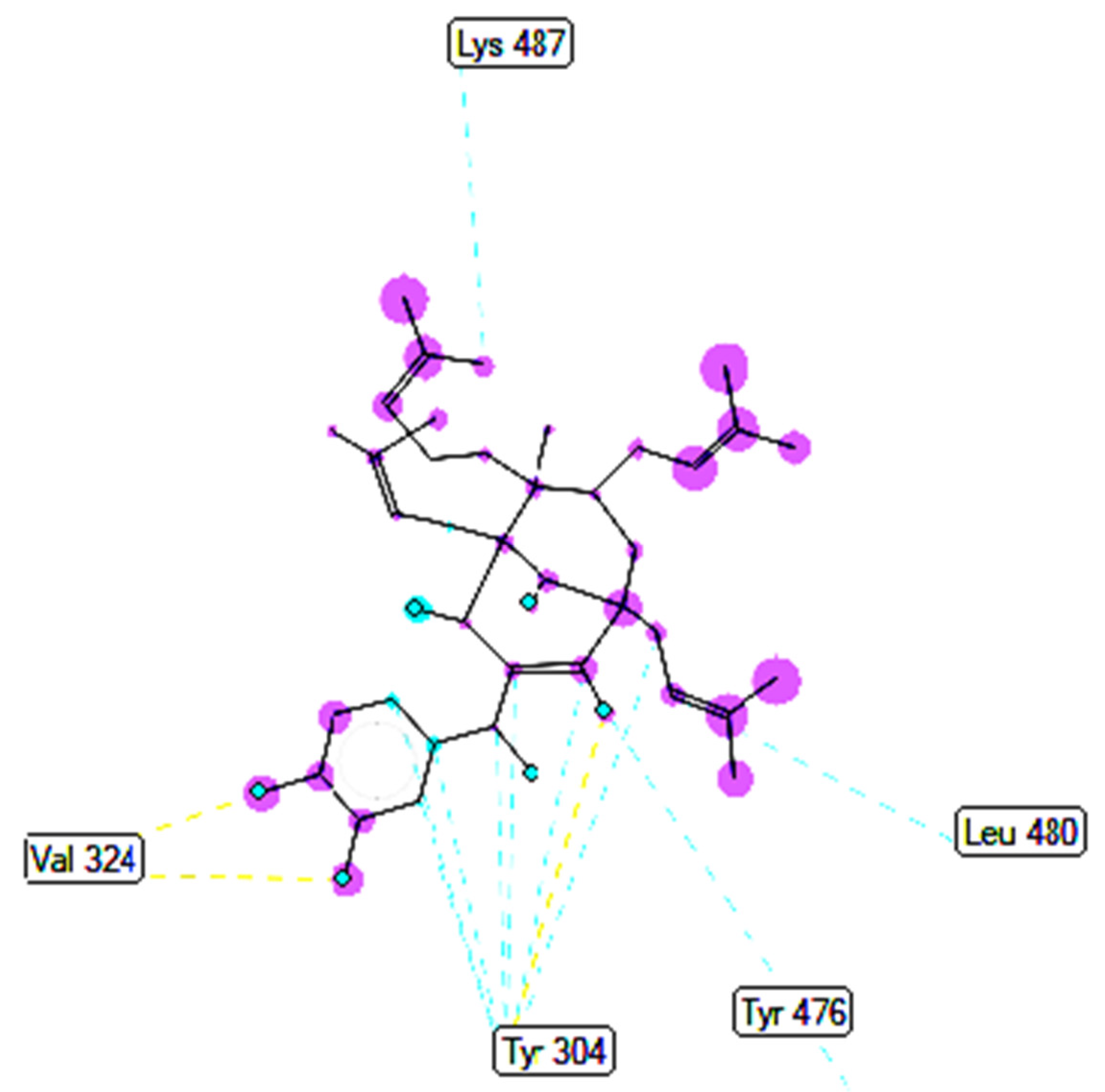 Molecules 27 02574 g021