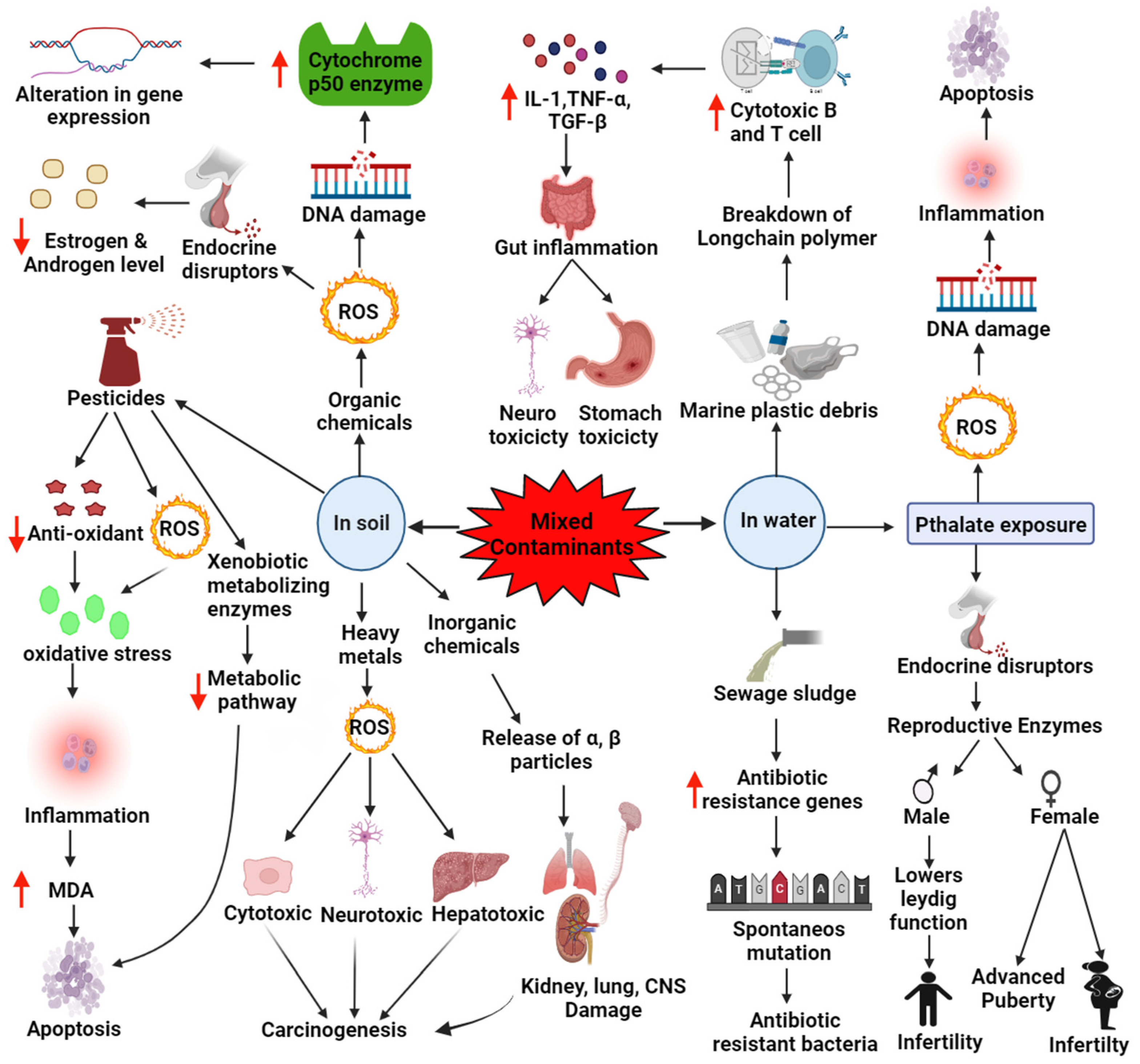 Molecules 27 02577 g003