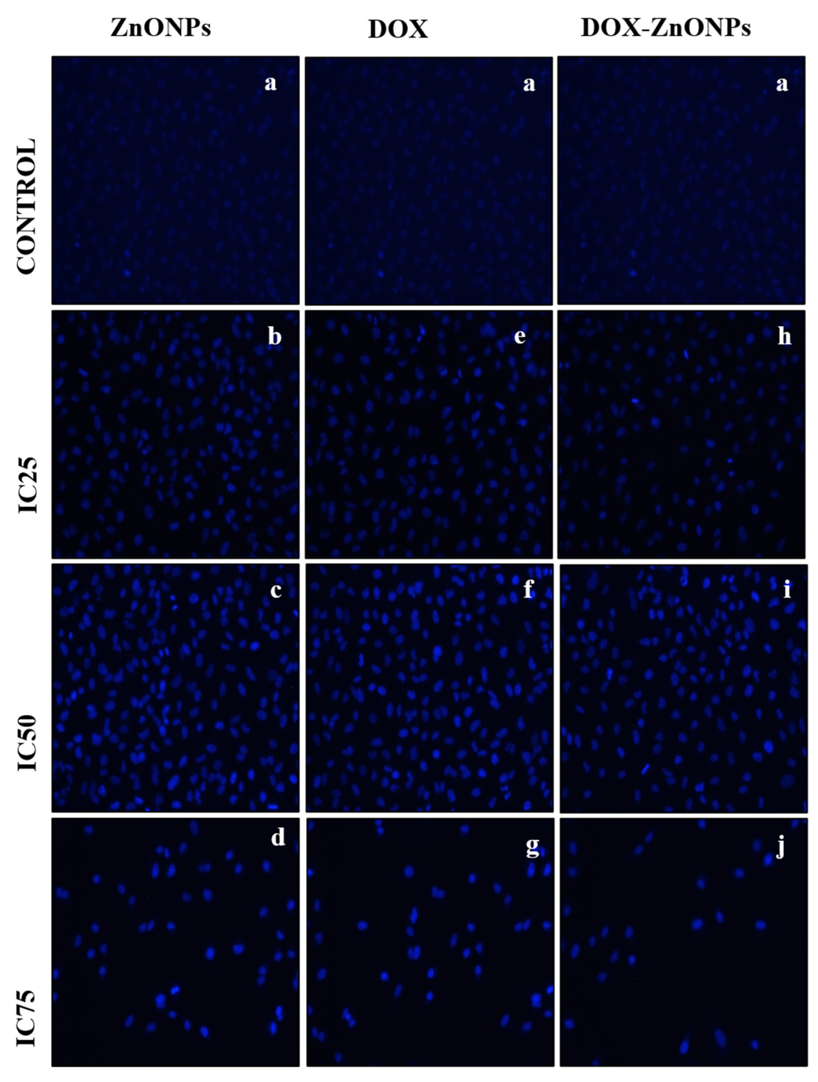 Molecules 27 02590 g008