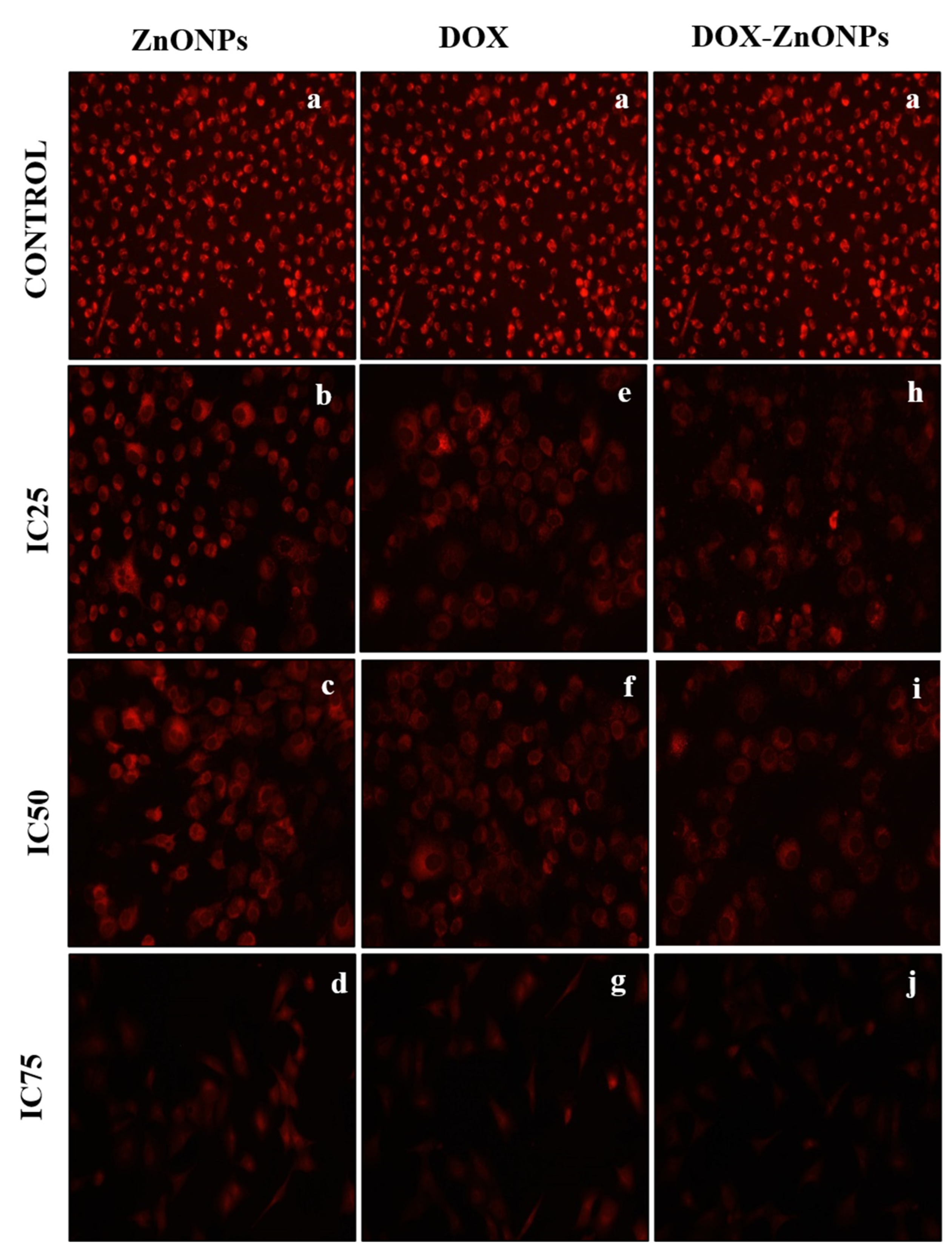 Molecules 27 02590 g009
