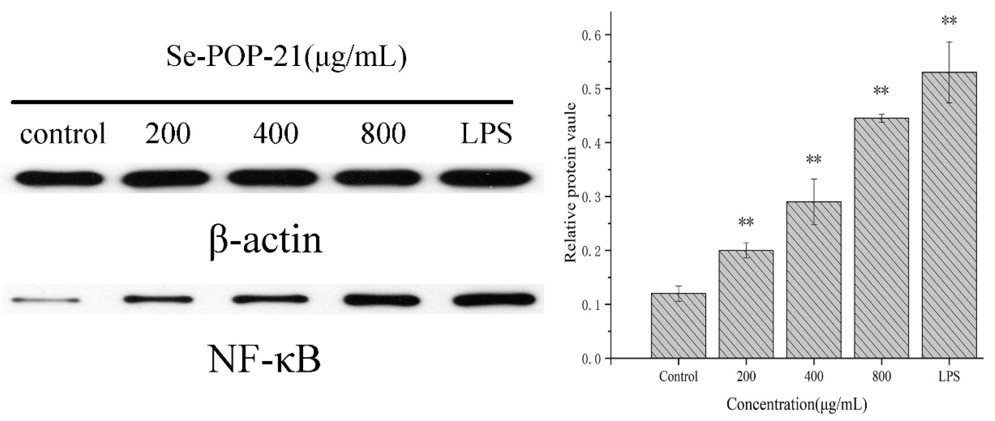 Molecules 27 02591 g009