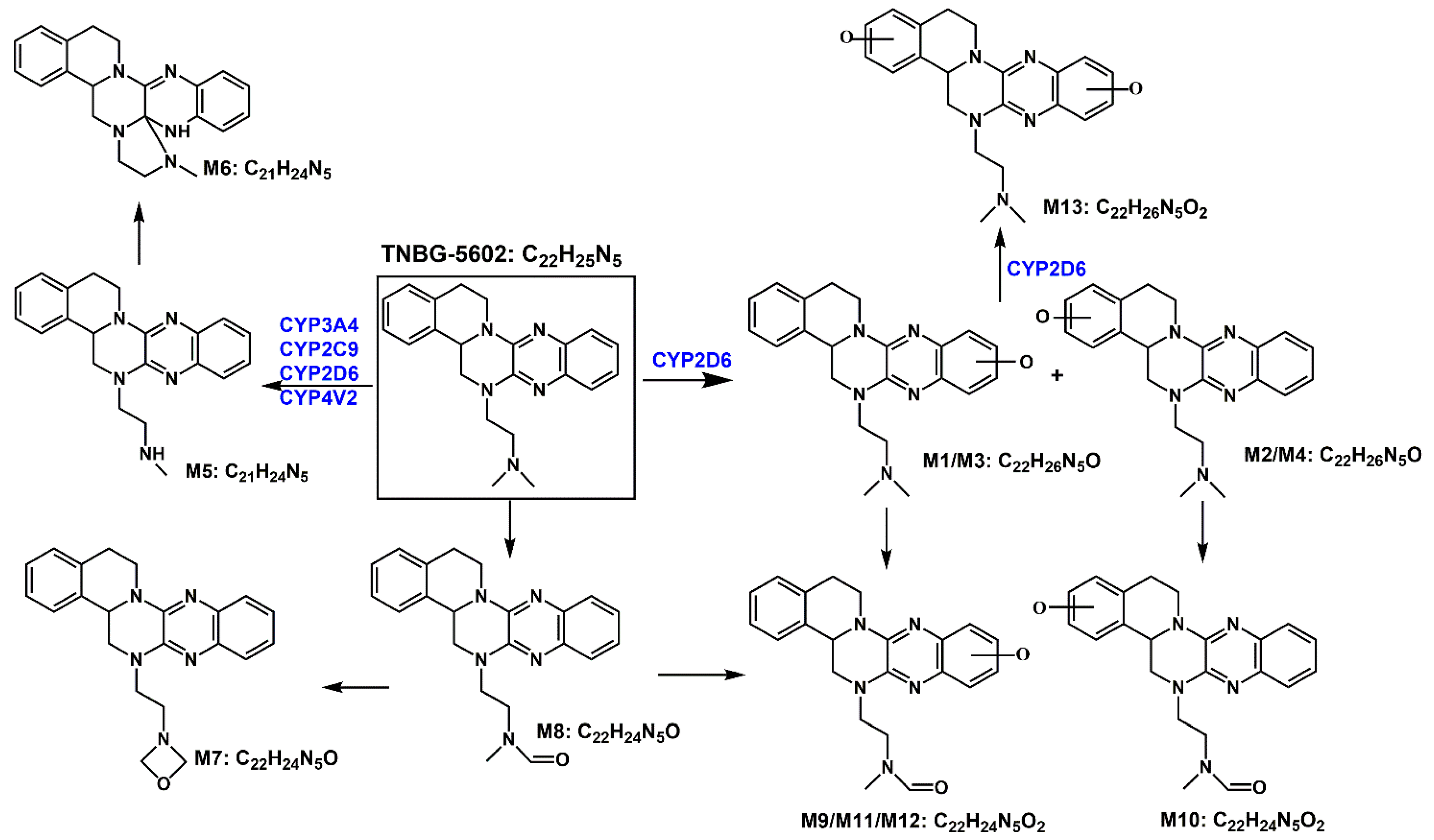 Molecules 27 02594 g016