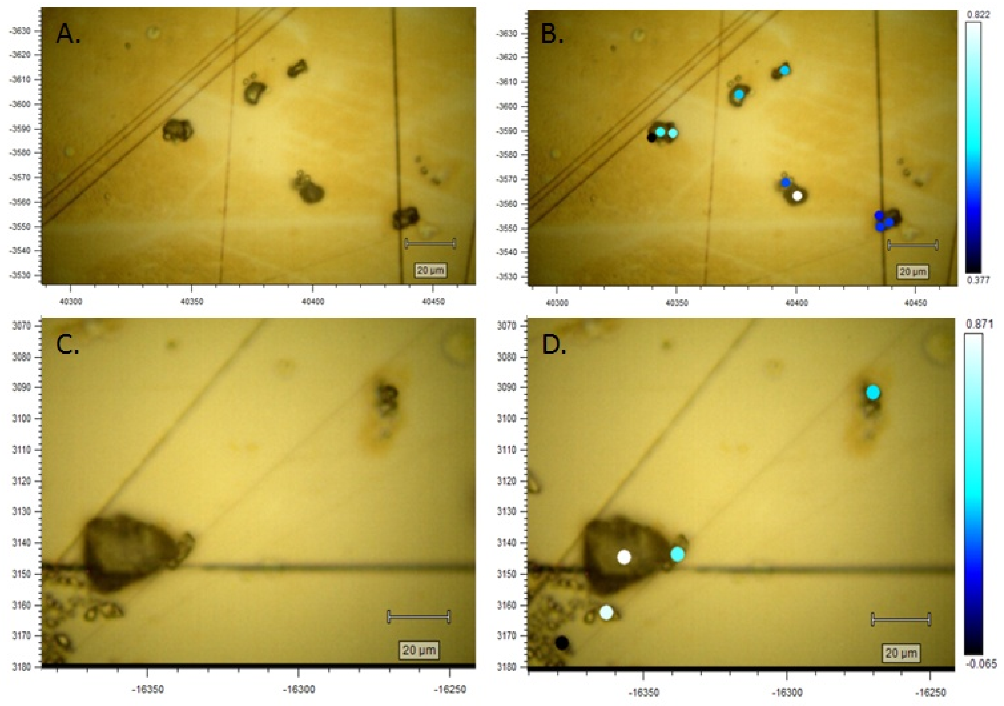 Molecules 27 02602 g004