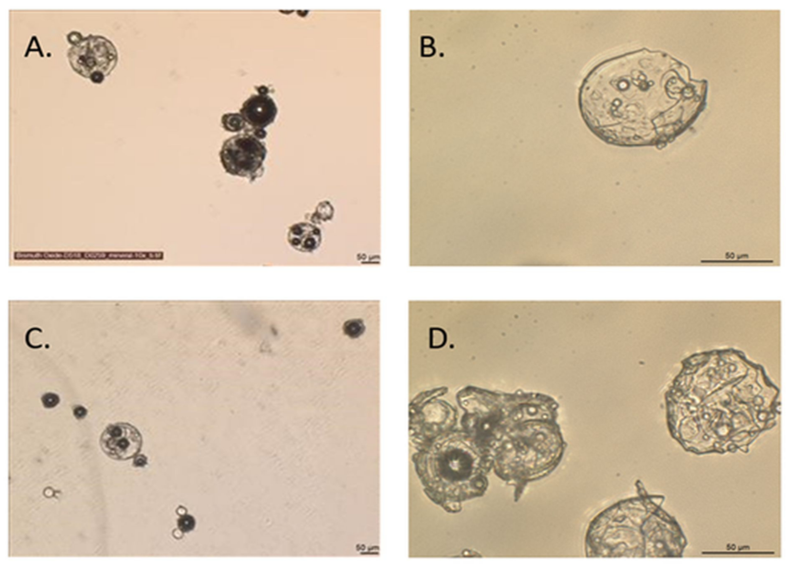 Molecules 27 02602 g007
