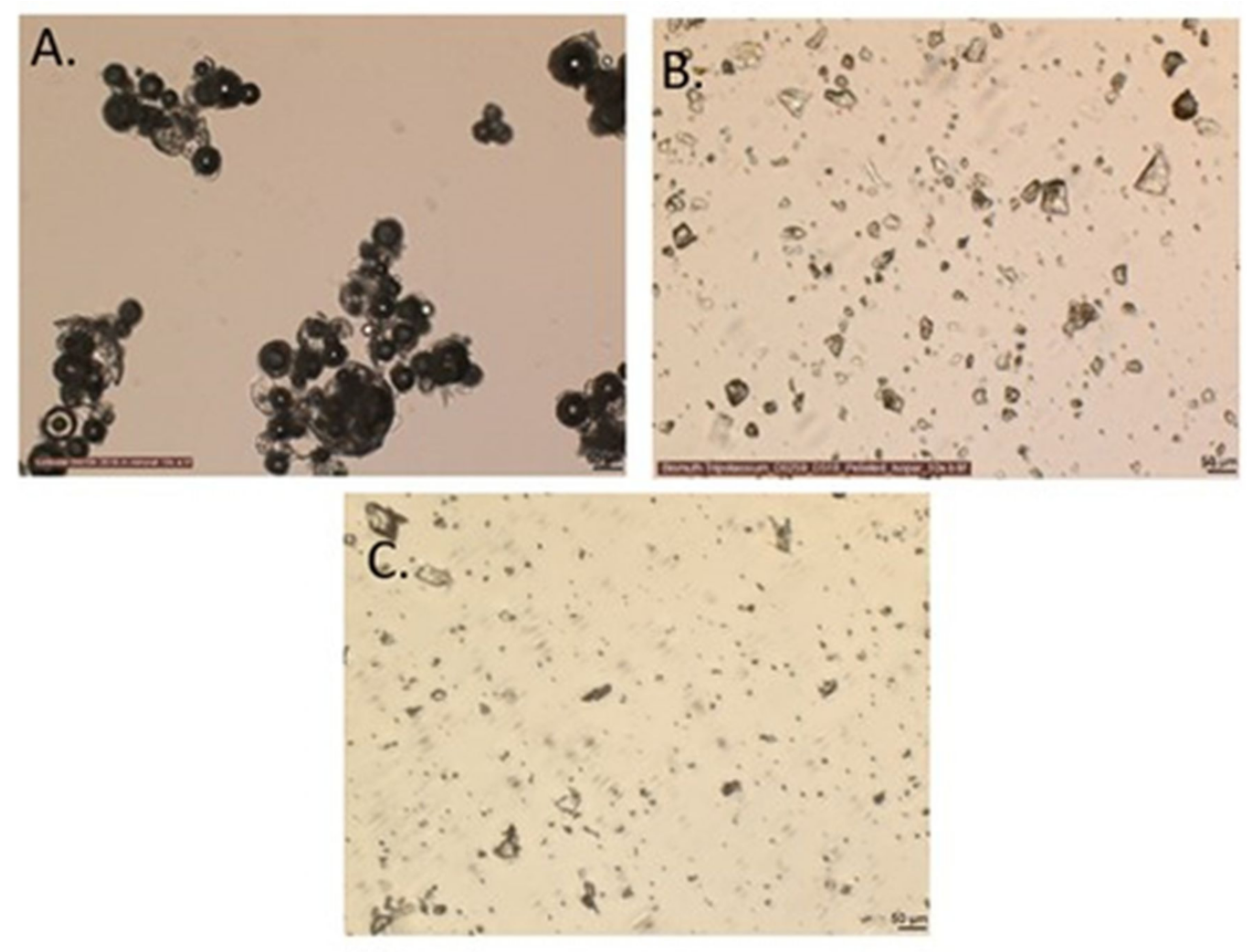 Molecules 27 02602 g008