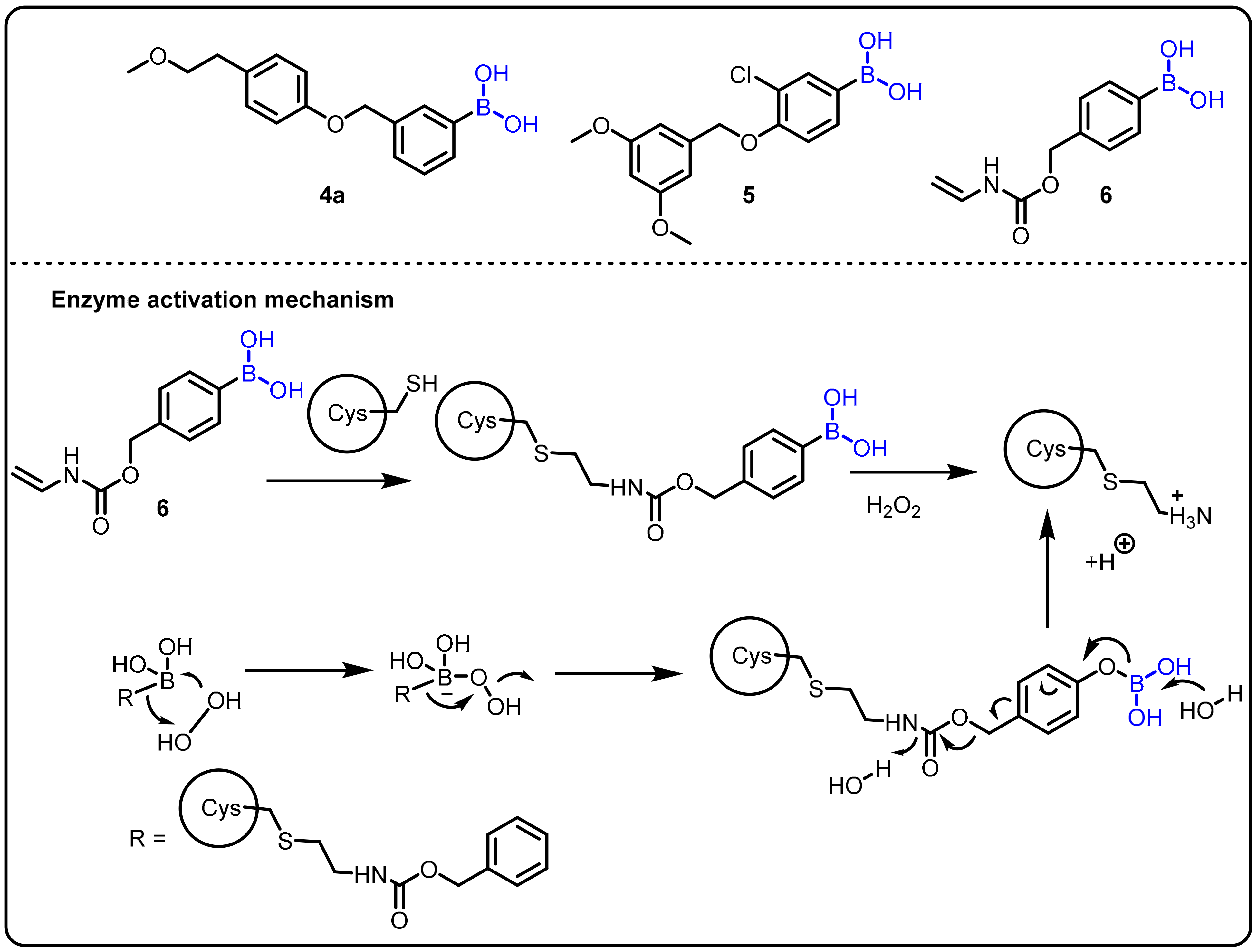 Molecules 27 02615 sch002 Molecules 27 02615 sch002