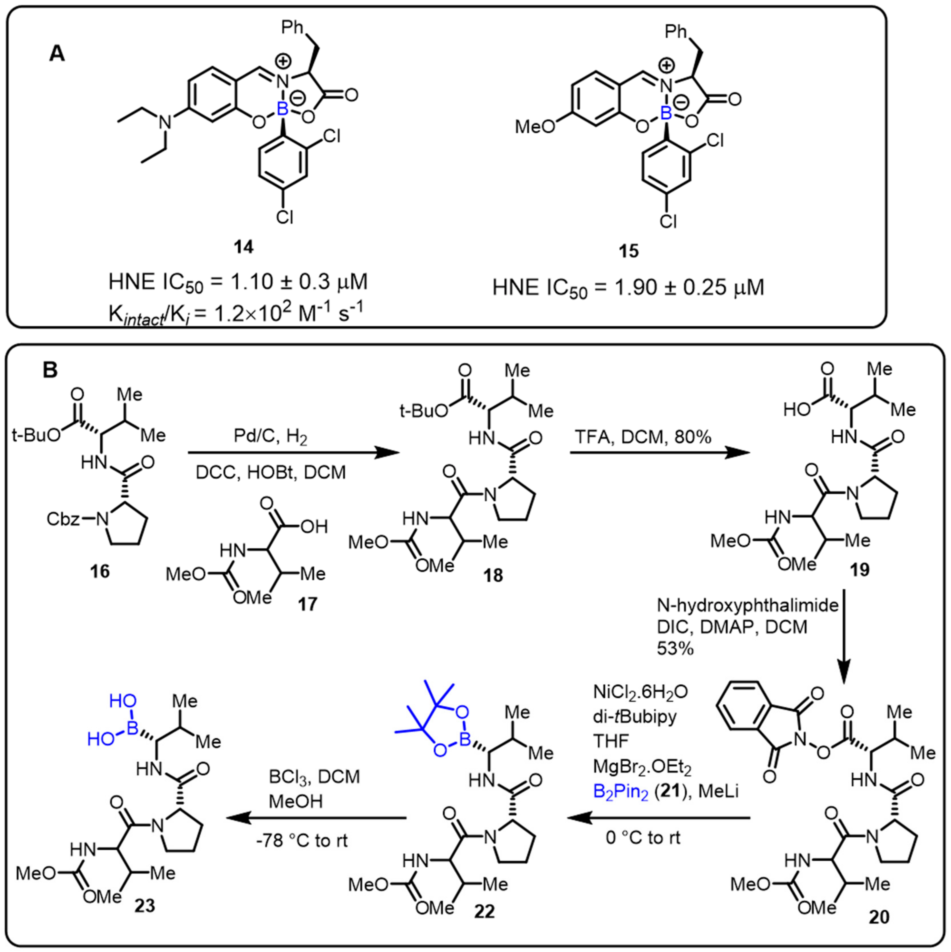 Molecules 27 02615 sch005 Molecules 27 02615 sch005