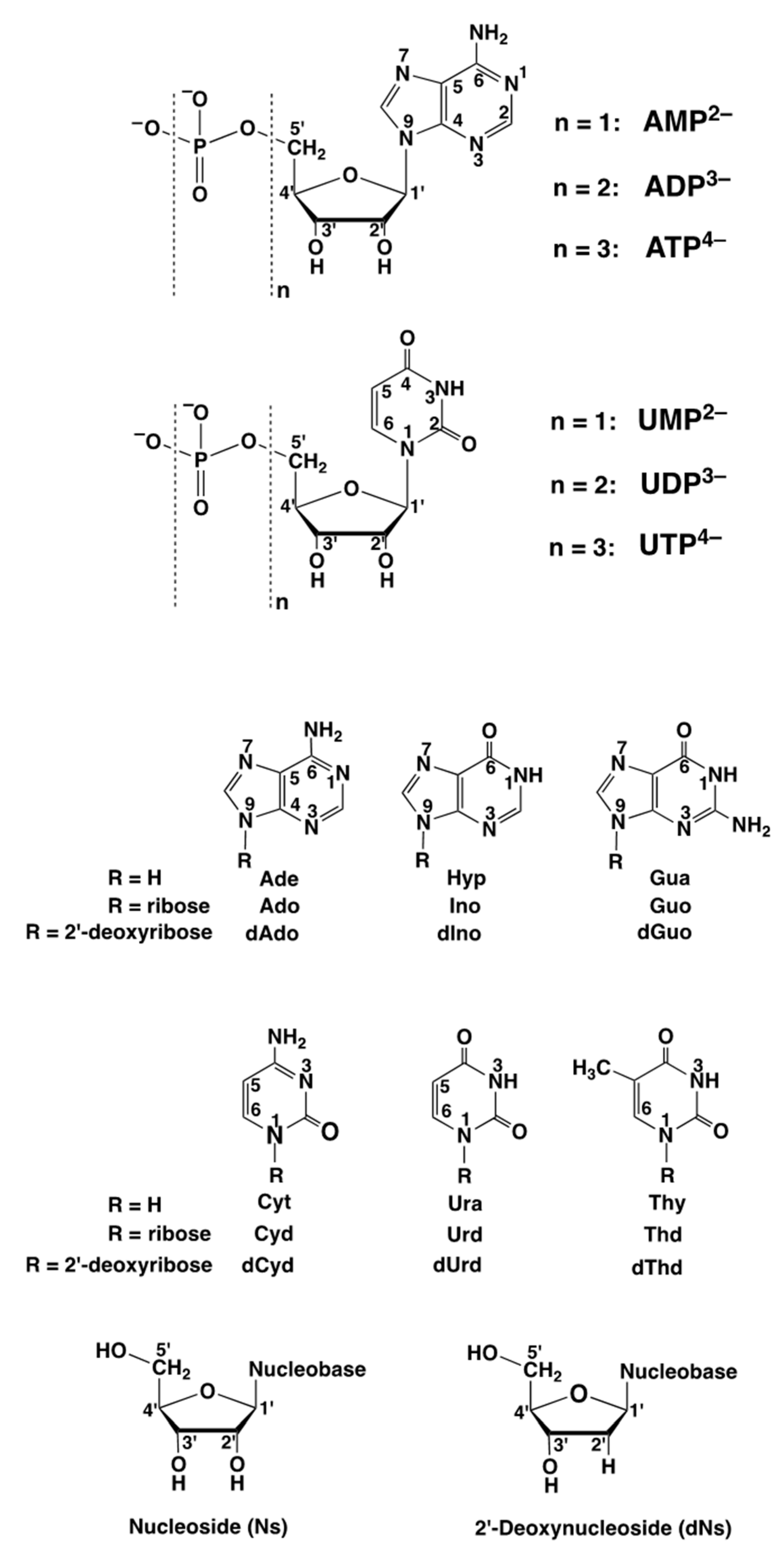 Molecules 27 02625 g001 Molecules 27 02625 g001