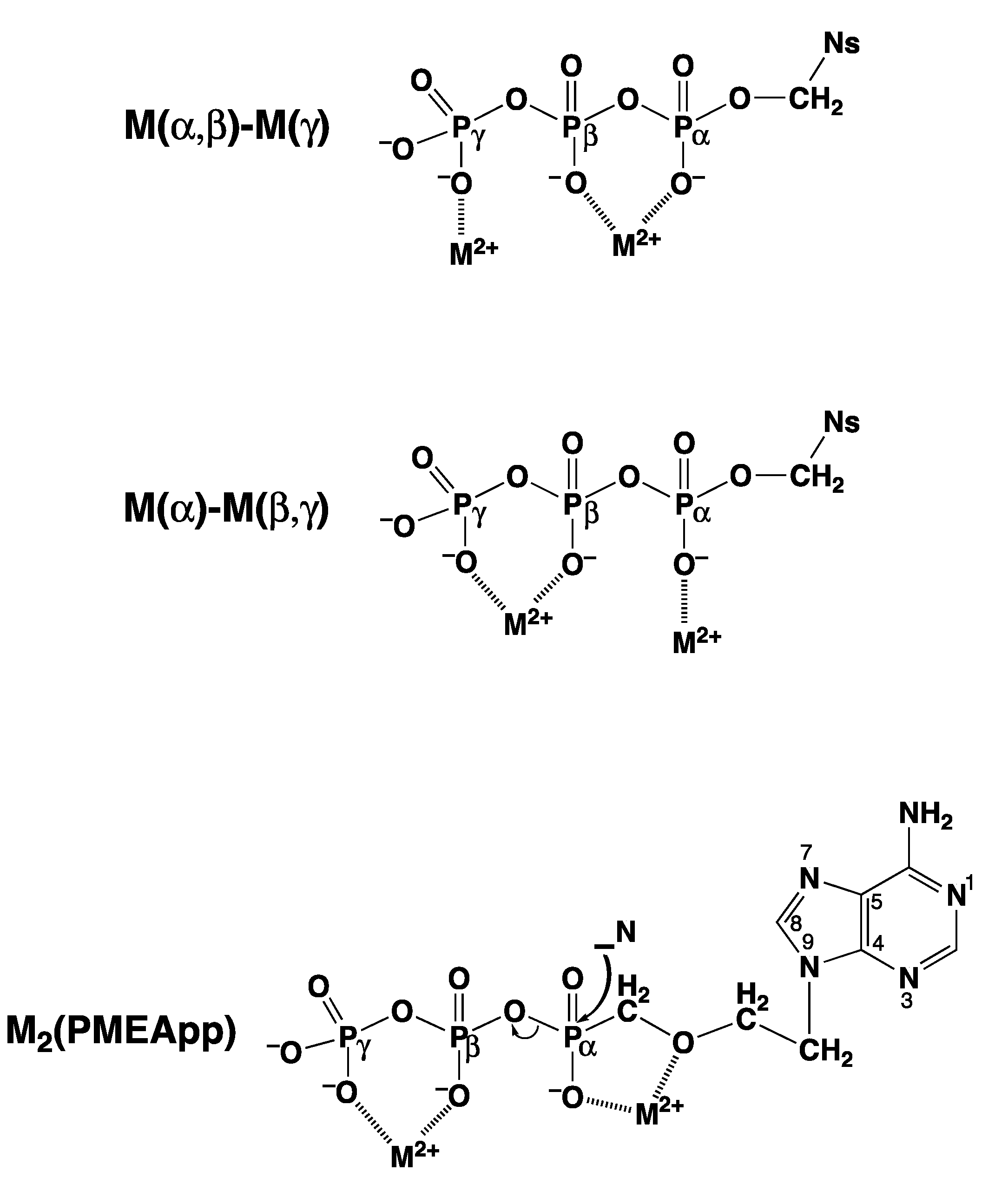 Molecules 27 02625 g002 Molecules 27 02625 g002