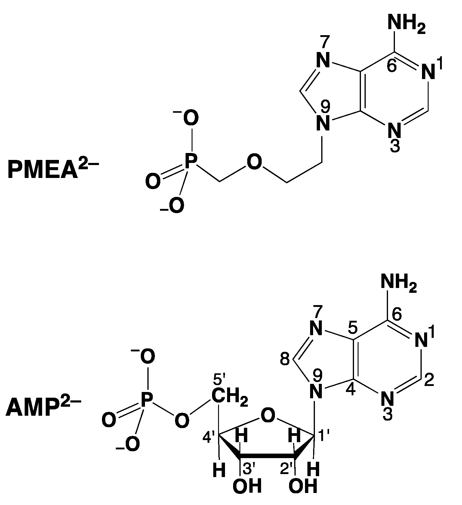 Molecules 27 02625 g003 Molecules 27 02625 g003