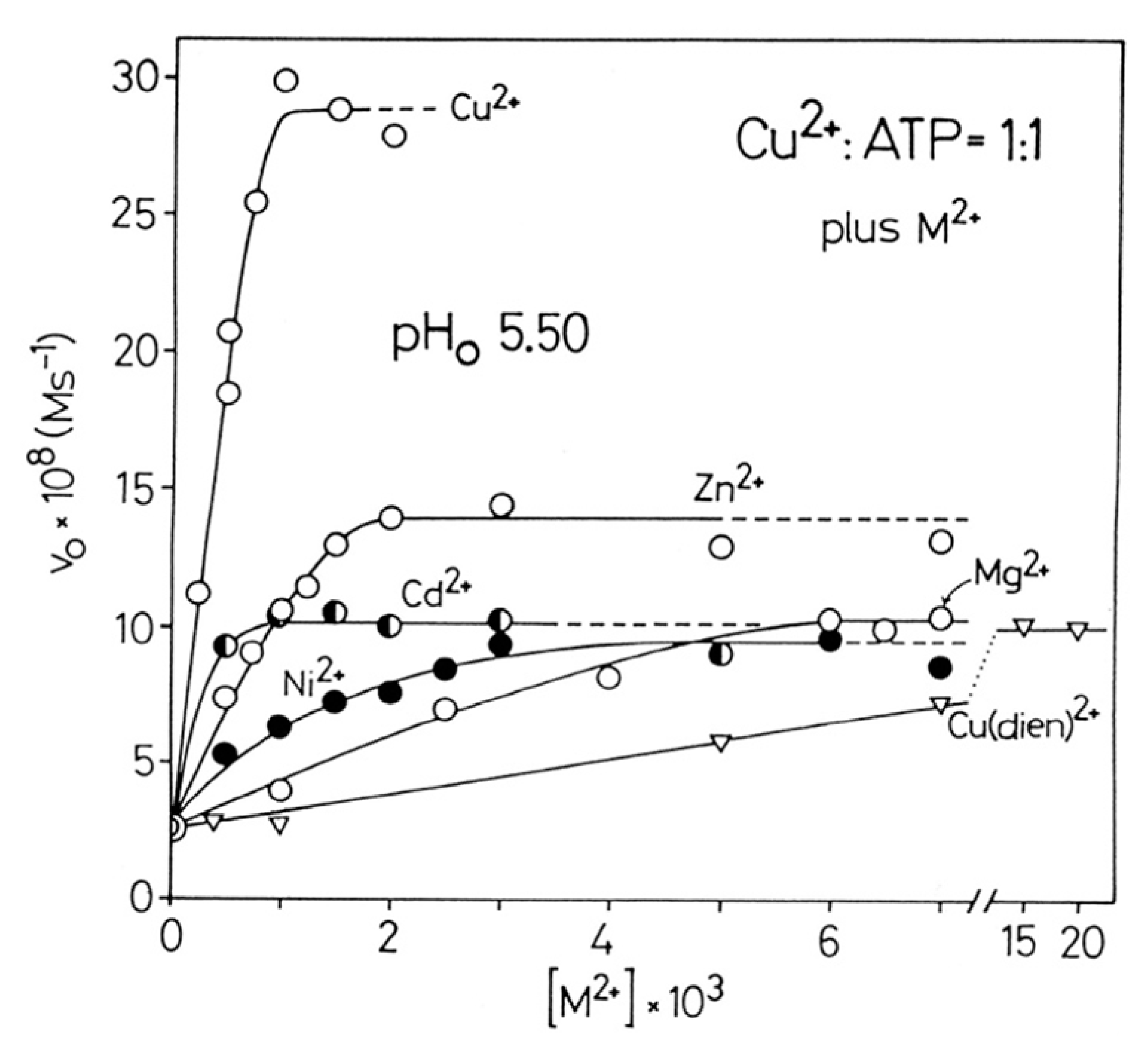 Molecules 27 02625 g008 Molecules 27 02625 g008