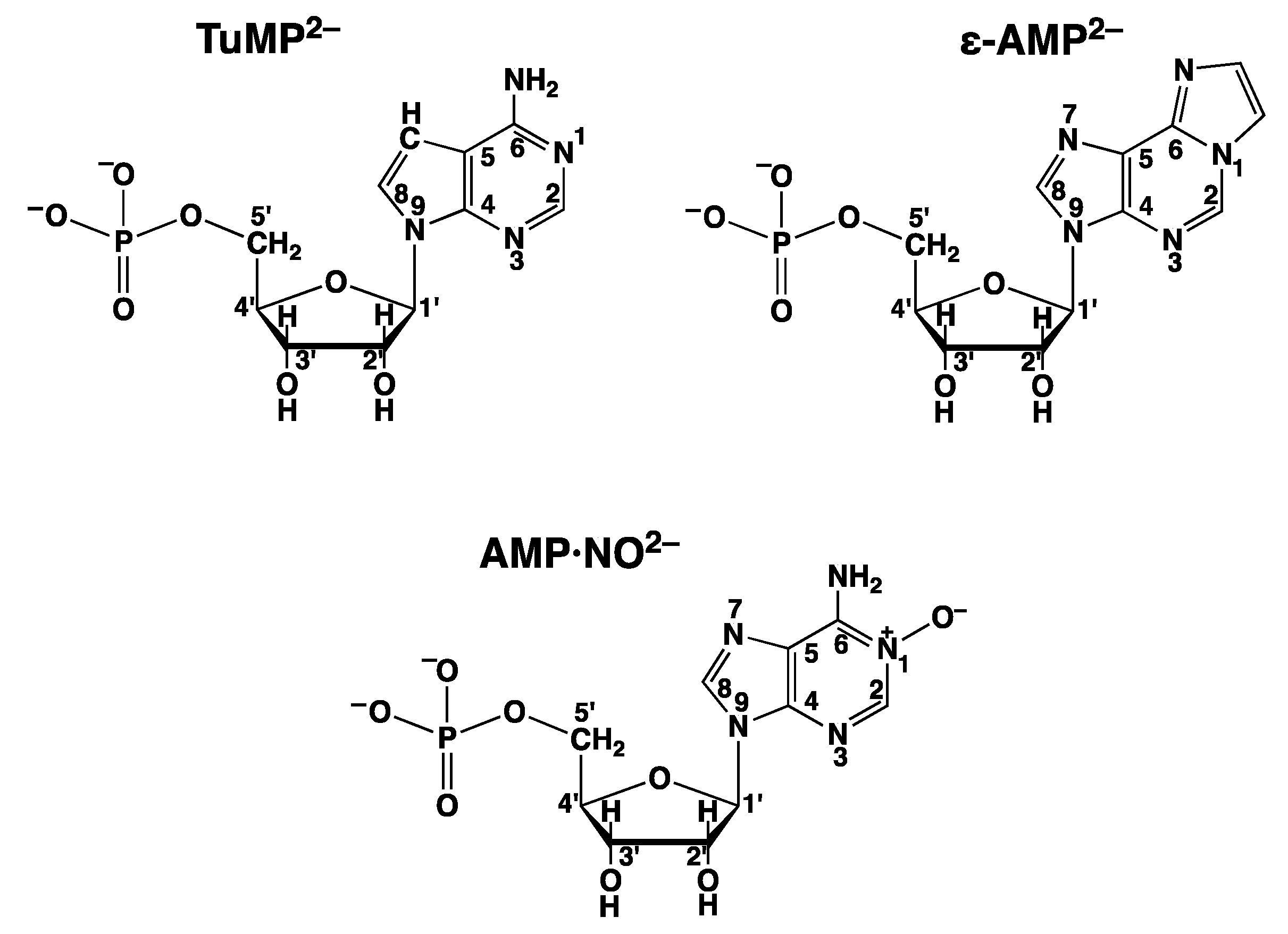 Molecules 27 02625 g012 Molecules 27 02625 g012