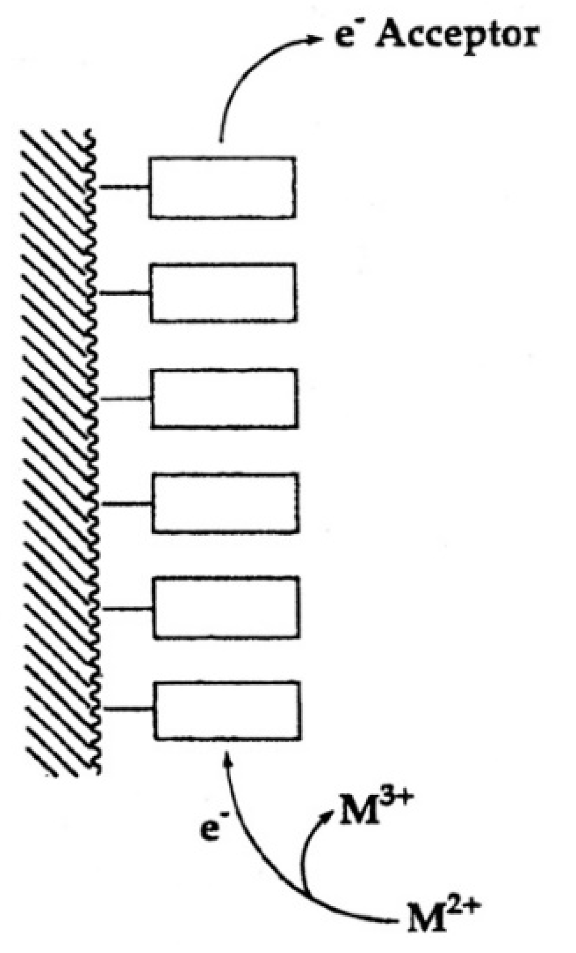 Molecules 27 02625 g013 Molecules 27 02625 g013