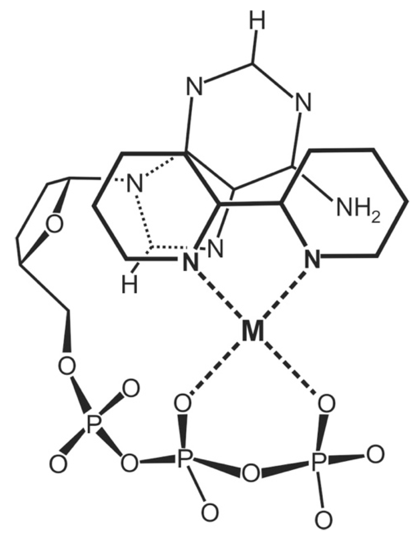 Molecules 27 02625 g014 Molecules 27 02625 g014