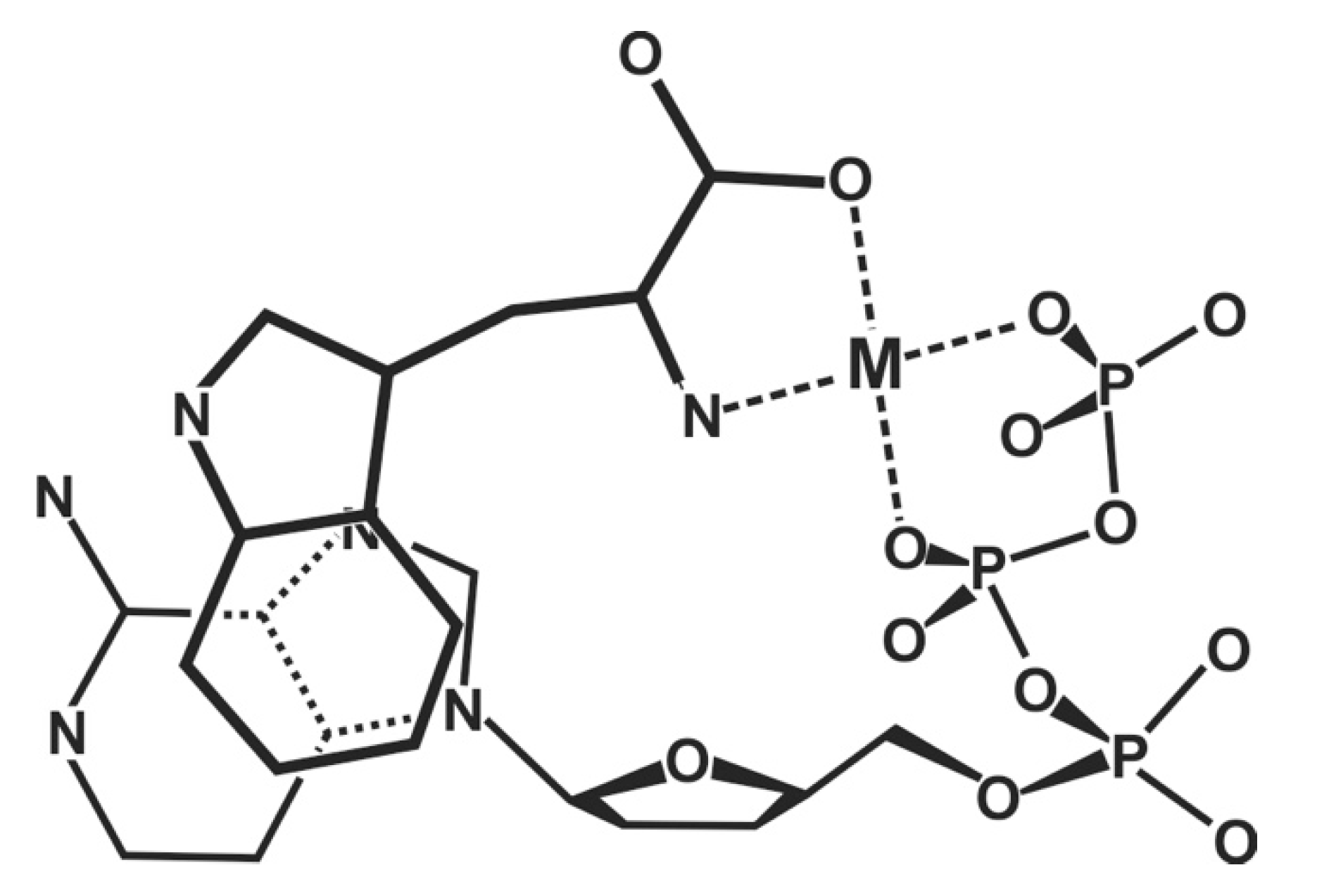 Molecules 27 02625 g015 Molecules 27 02625 g015