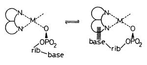 Molecules 27 02625 i002 Molecules 27 02625 i002