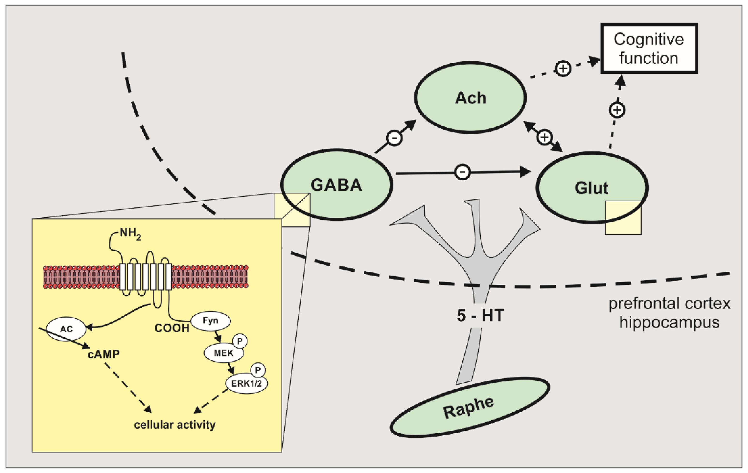 Molecules 27 02626 g001
