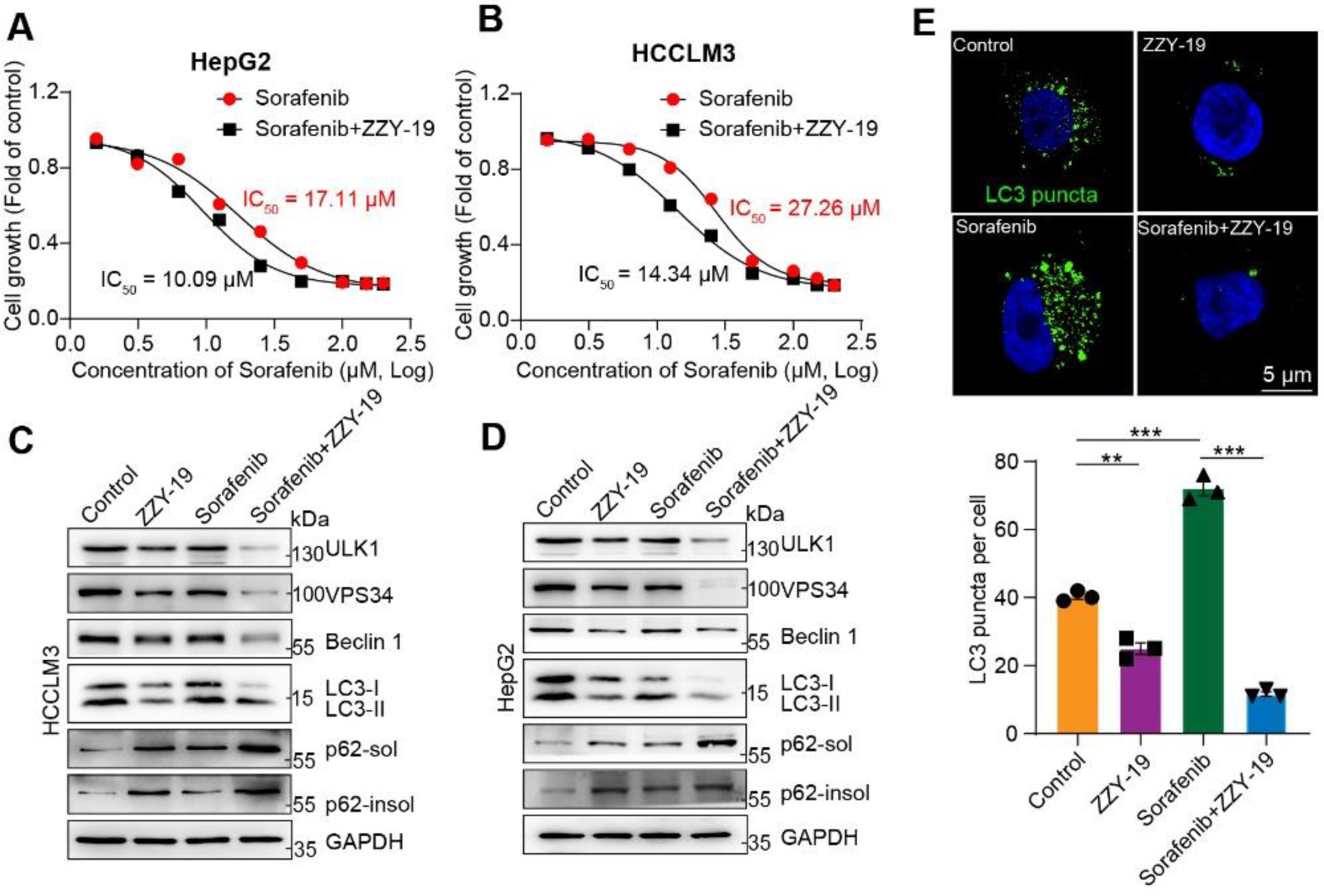 Molecules 27 02627 g007