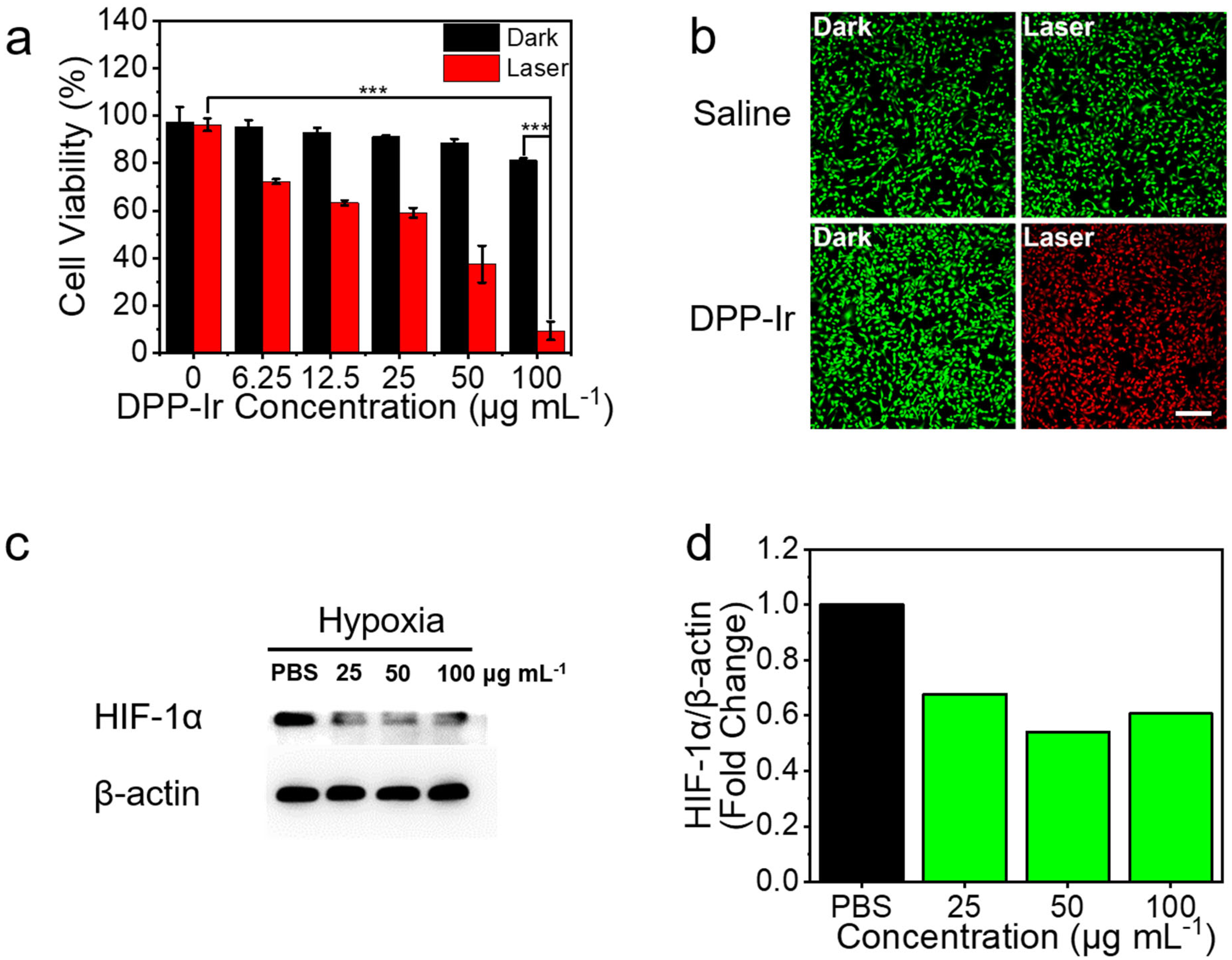 Molecules 27 02629 g004 550