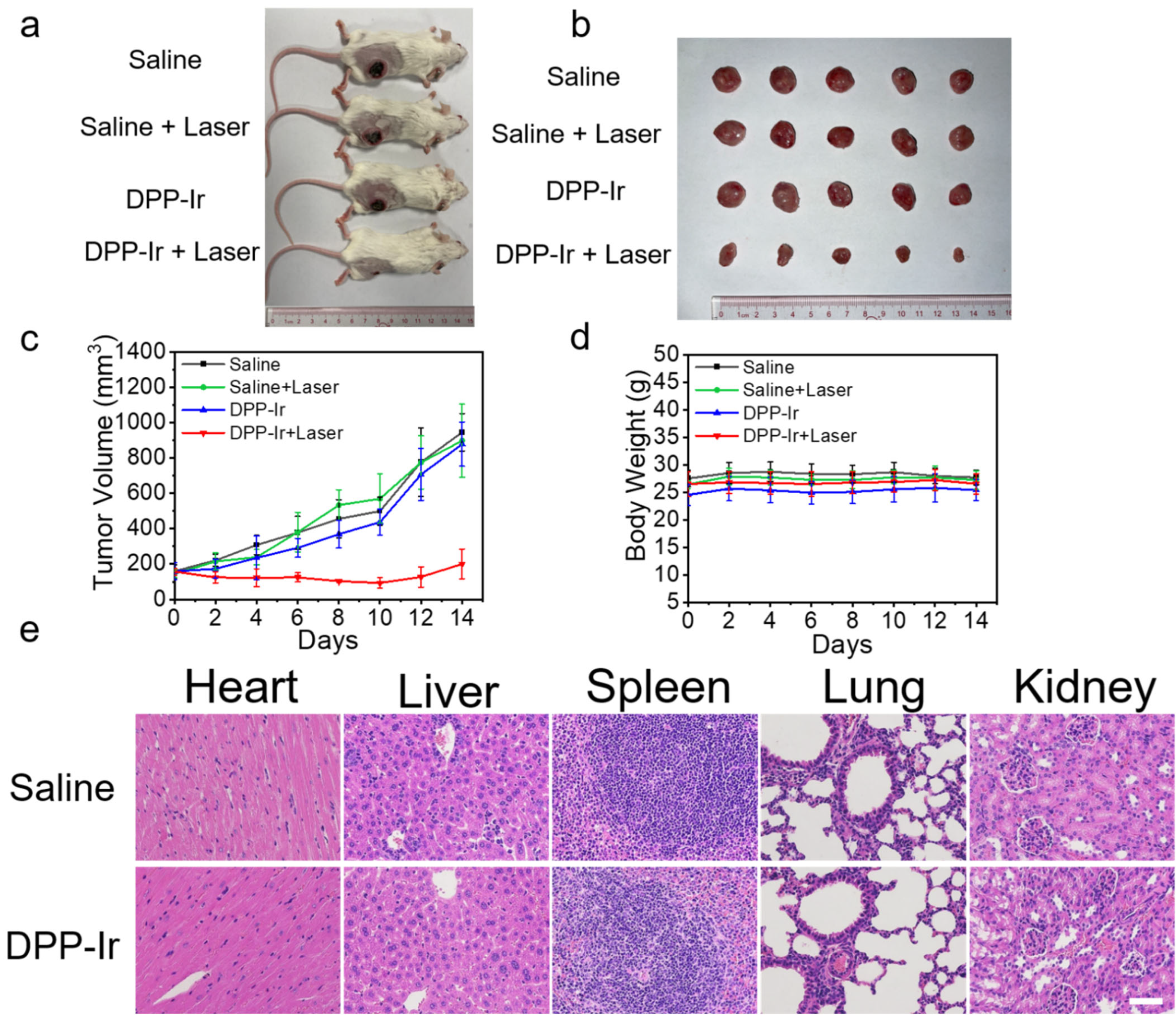 Molecules 27 02629 g005 550