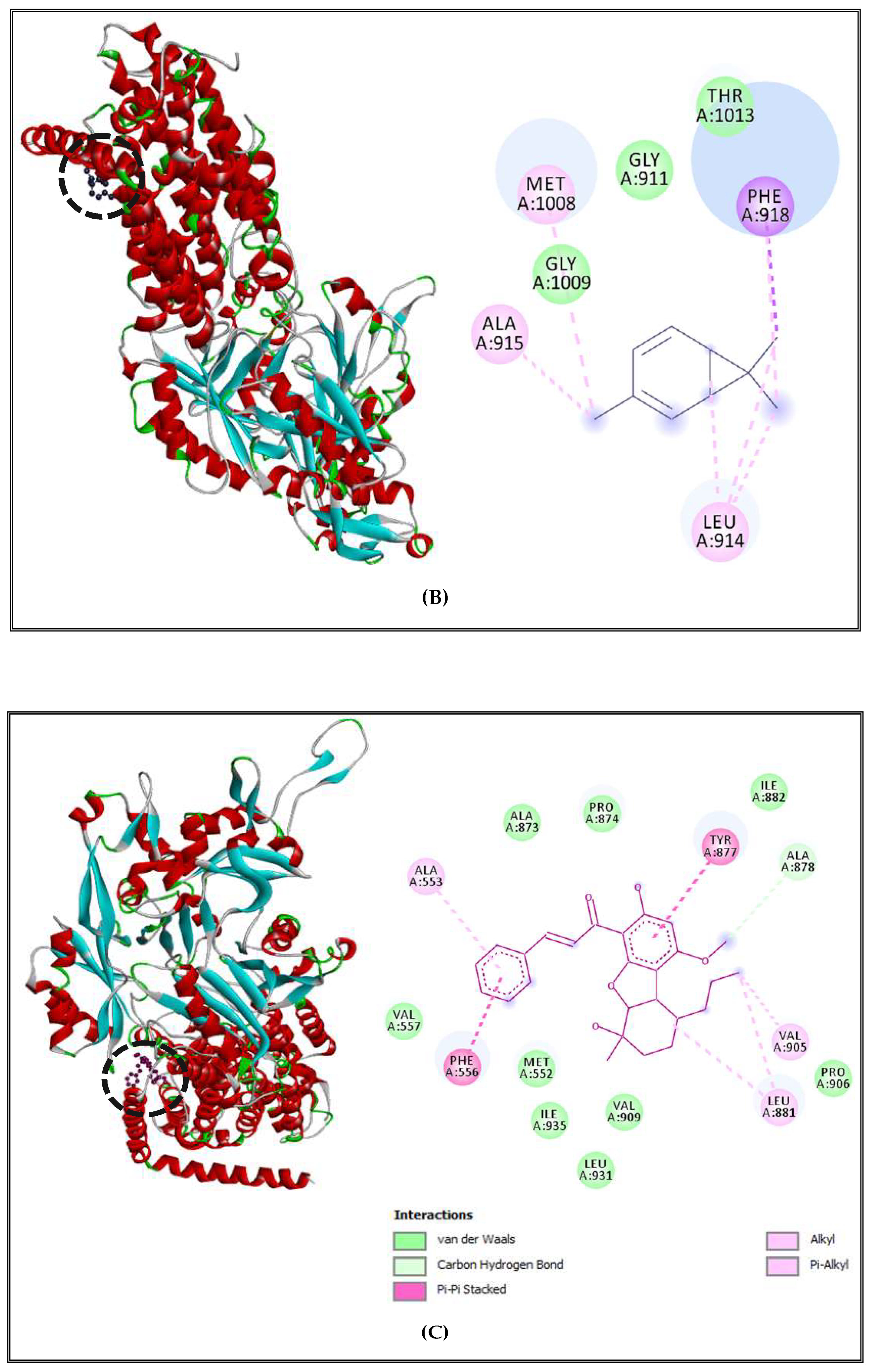 Molecules 27 02630 g002b