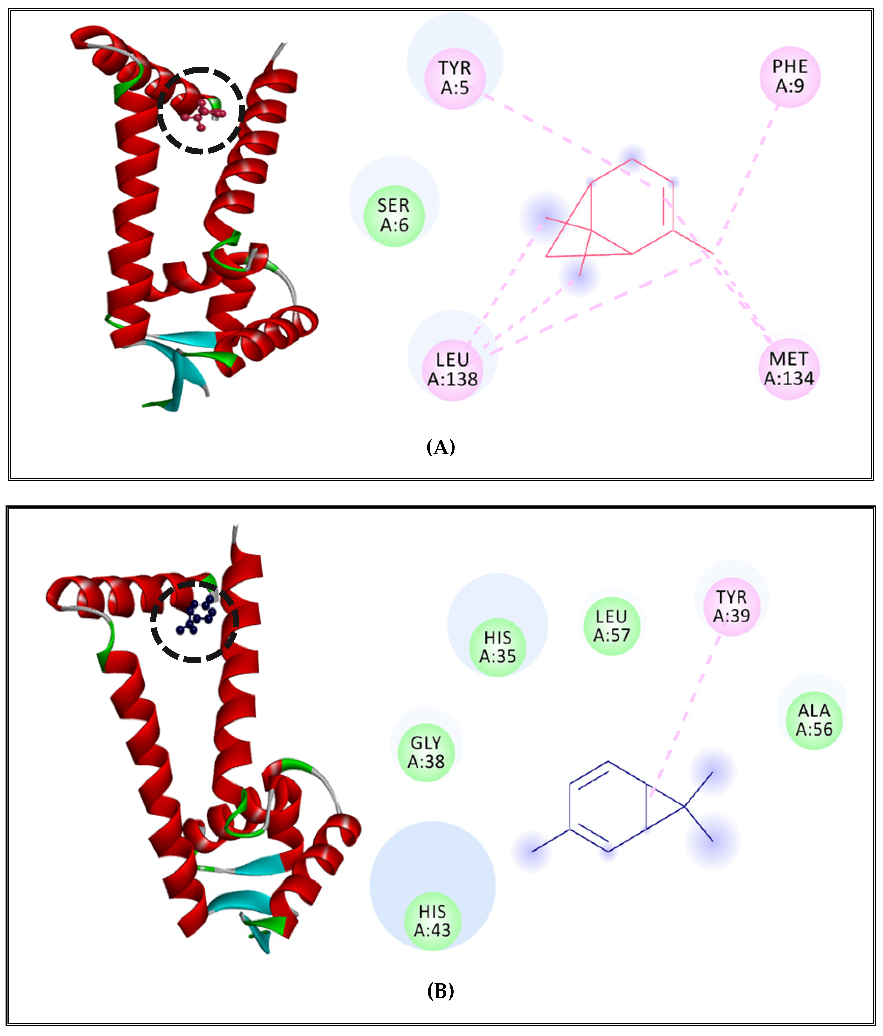 Molecules 27 02630 g003a