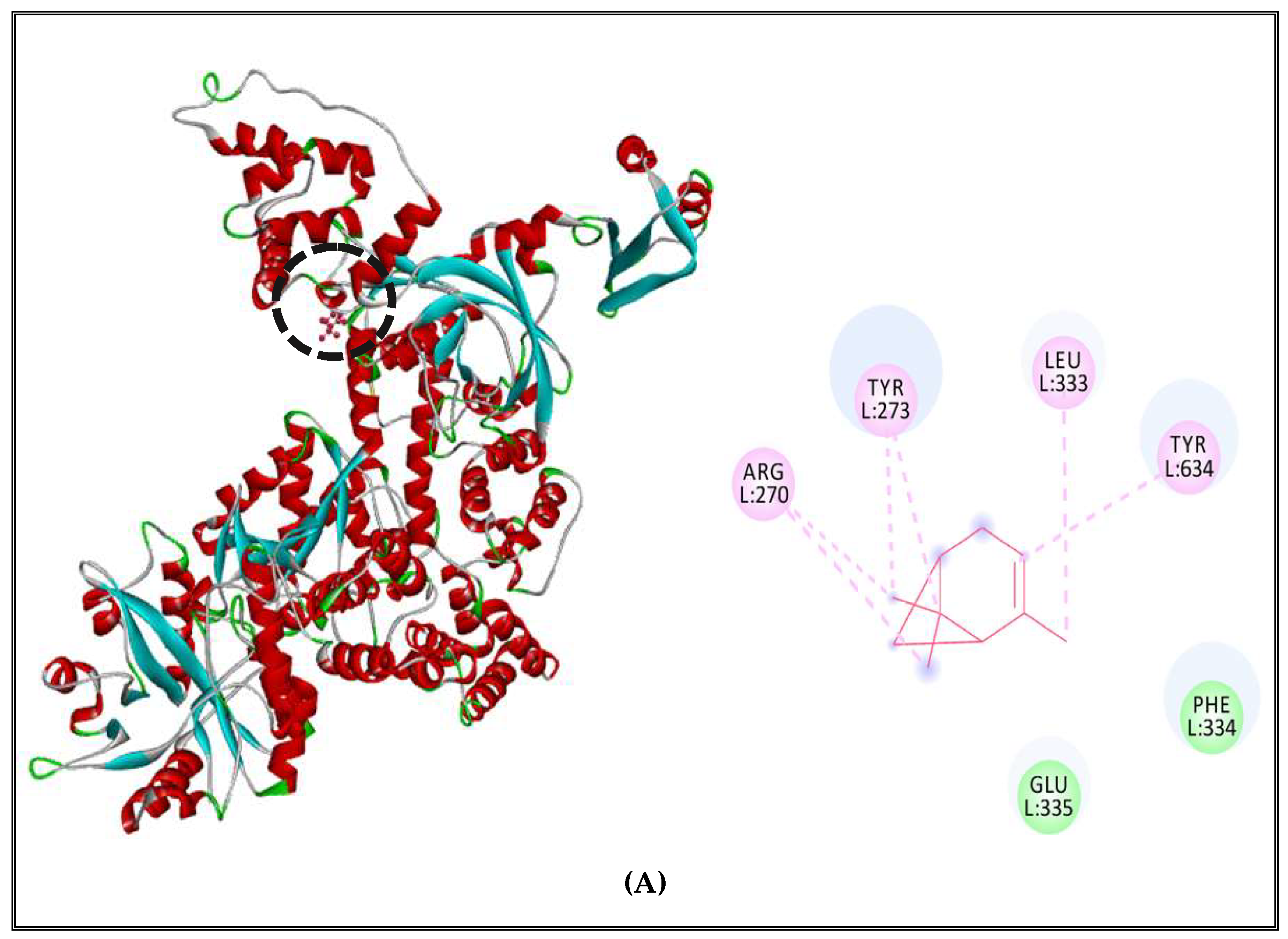 Molecules 27 02630 g004a