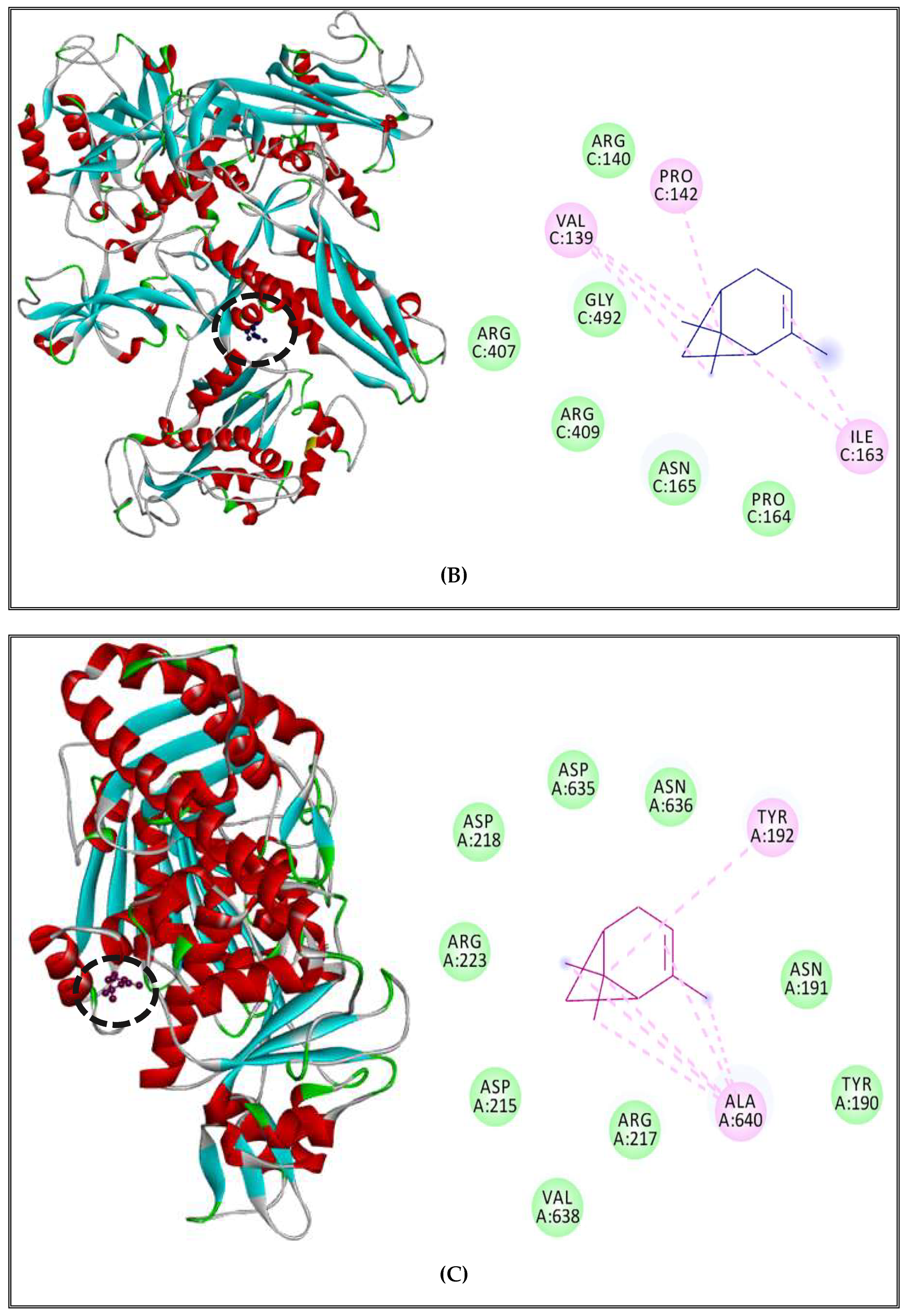 Molecules 27 02630 g004b