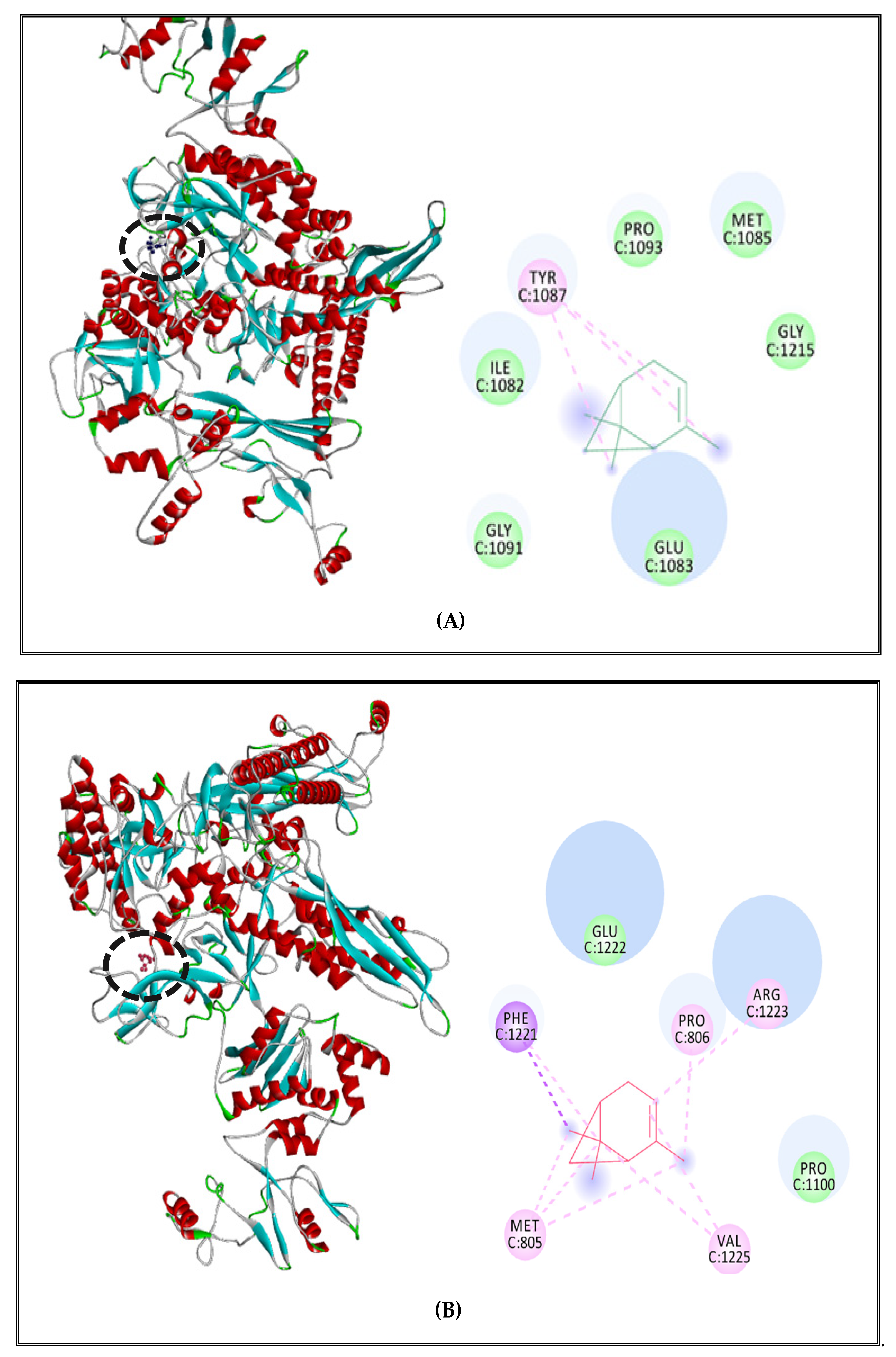 Molecules 27 02630 g005a