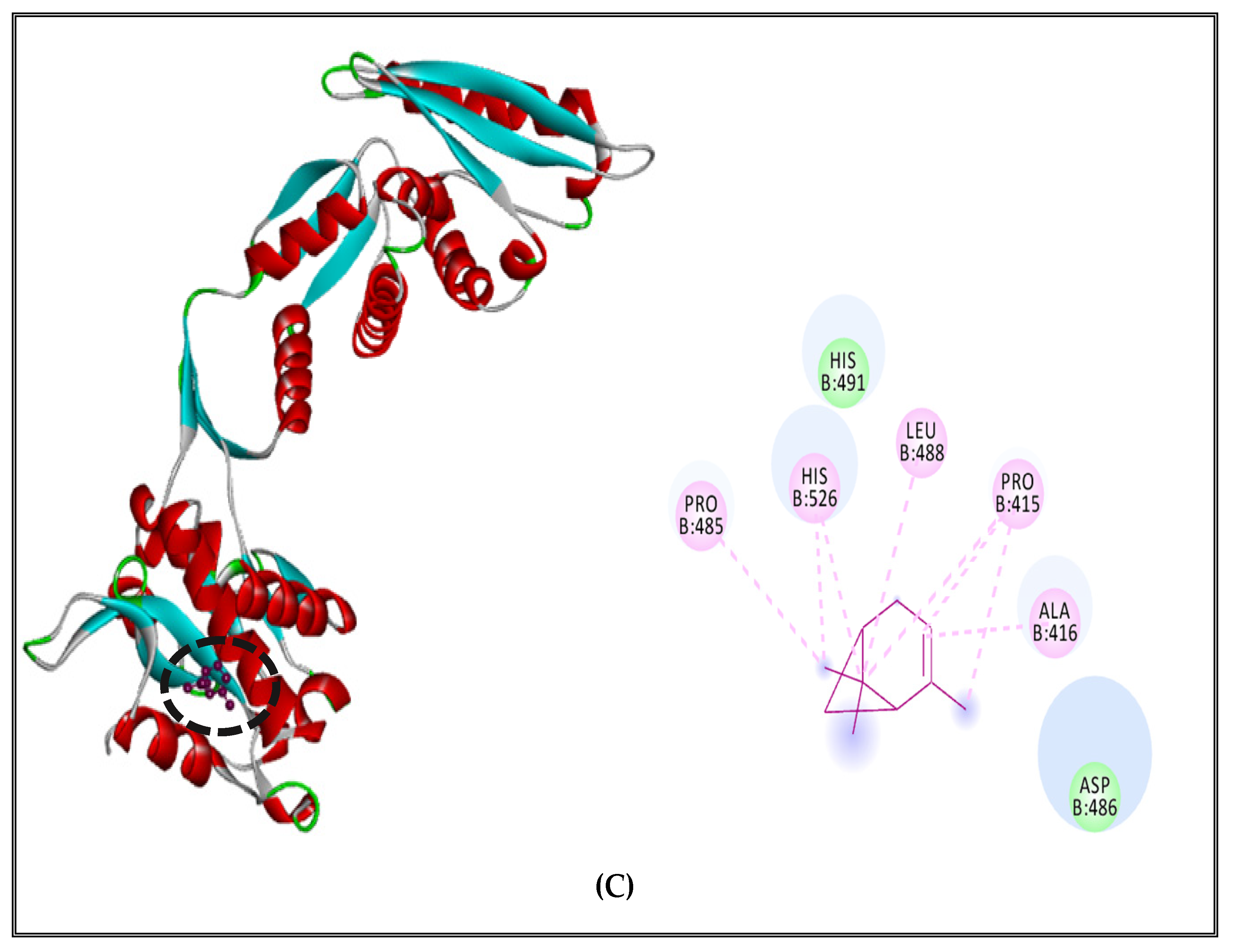 Molecules 27 02630 g005b
