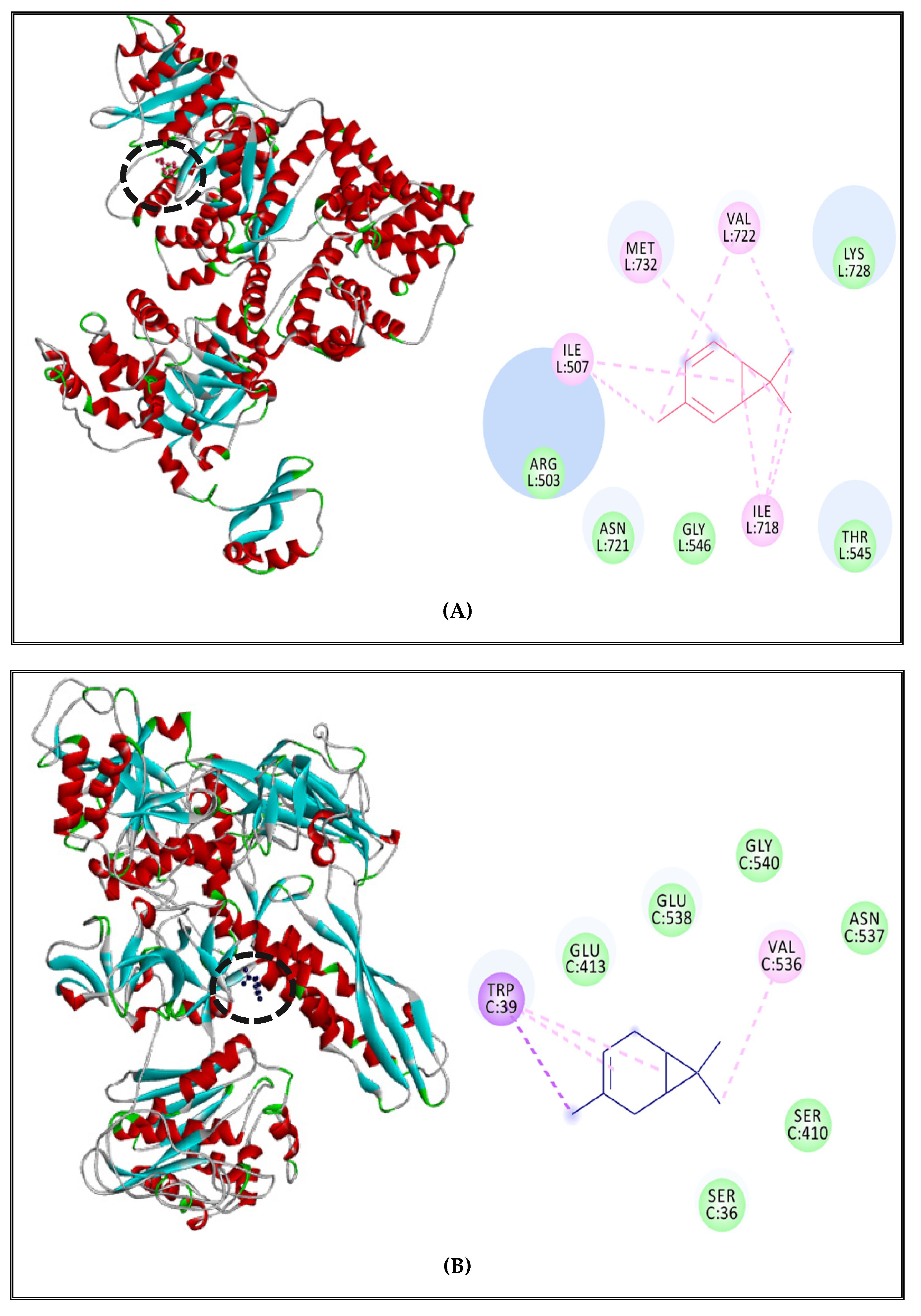 Molecules 27 02630 g006a