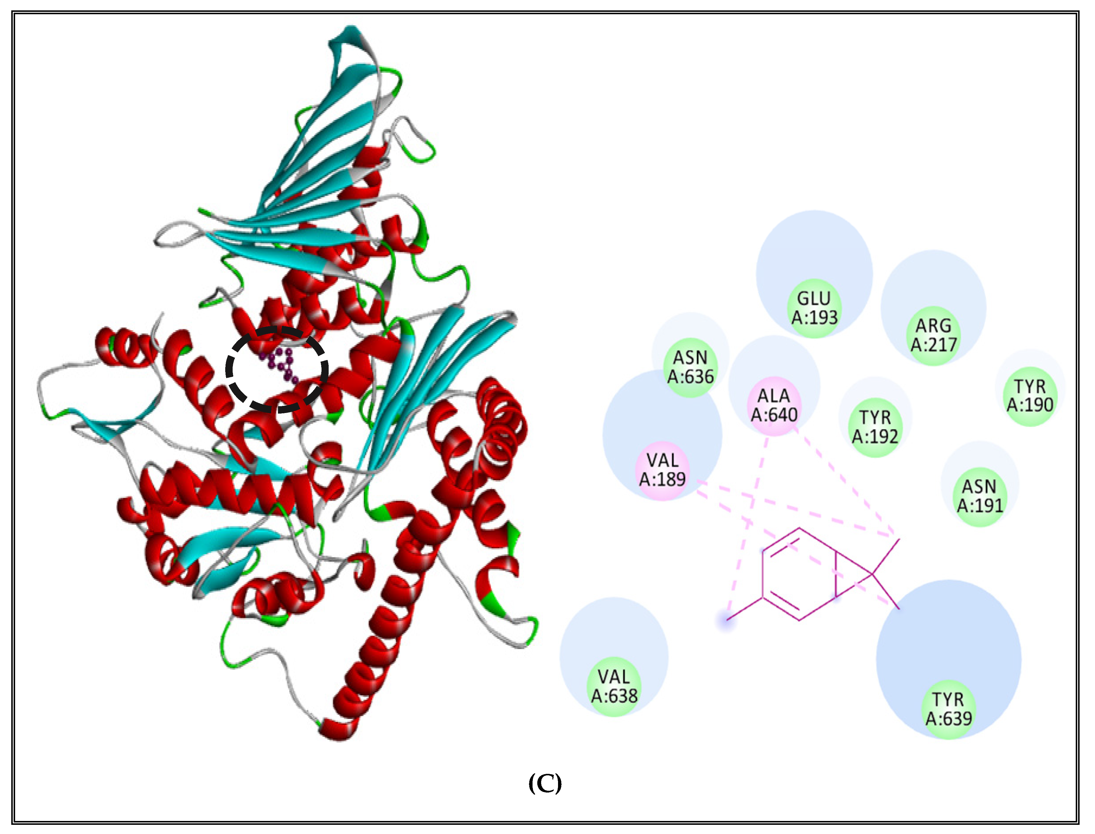 Molecules 27 02630 g006b