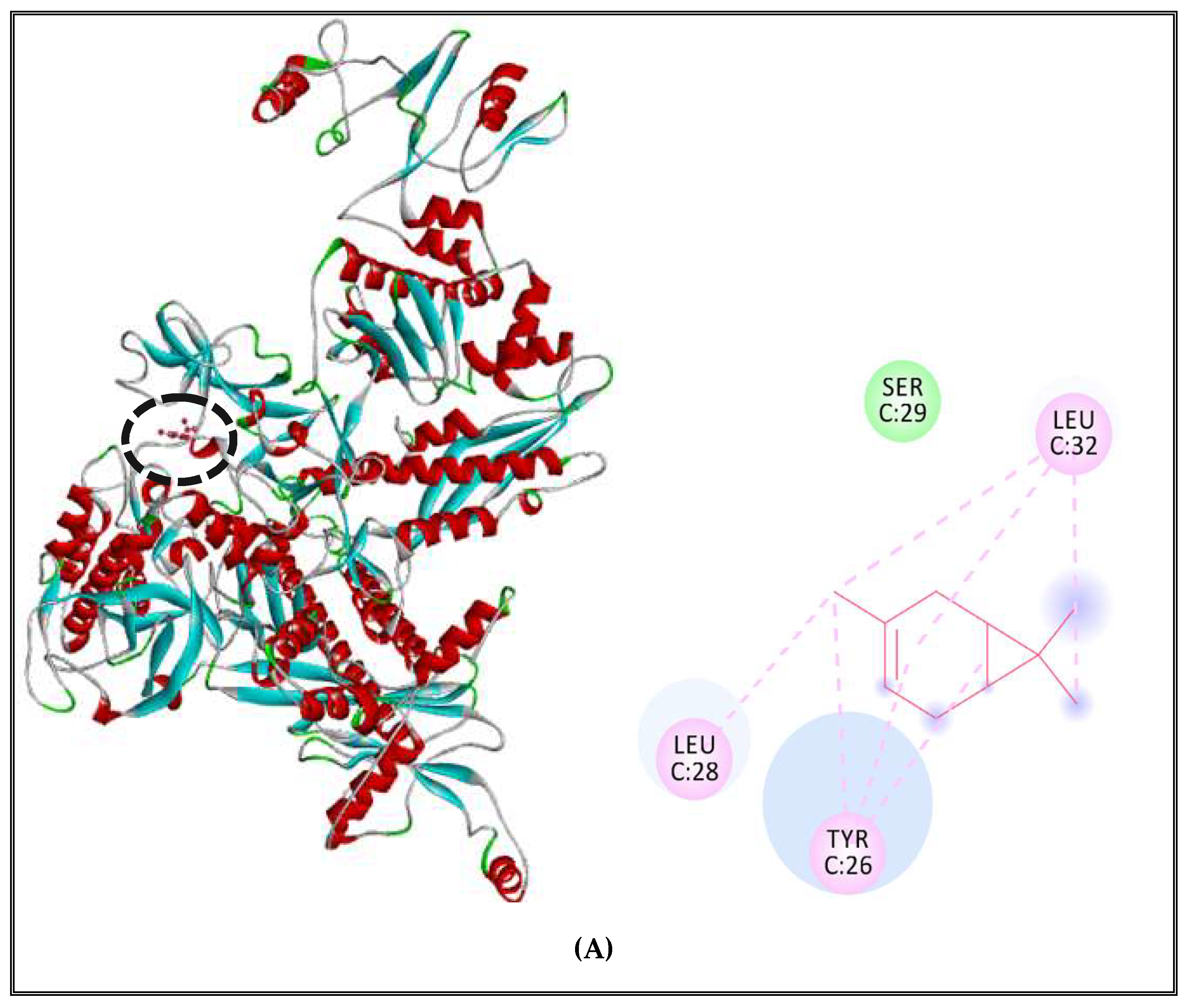 Molecules 27 02630 g007a
