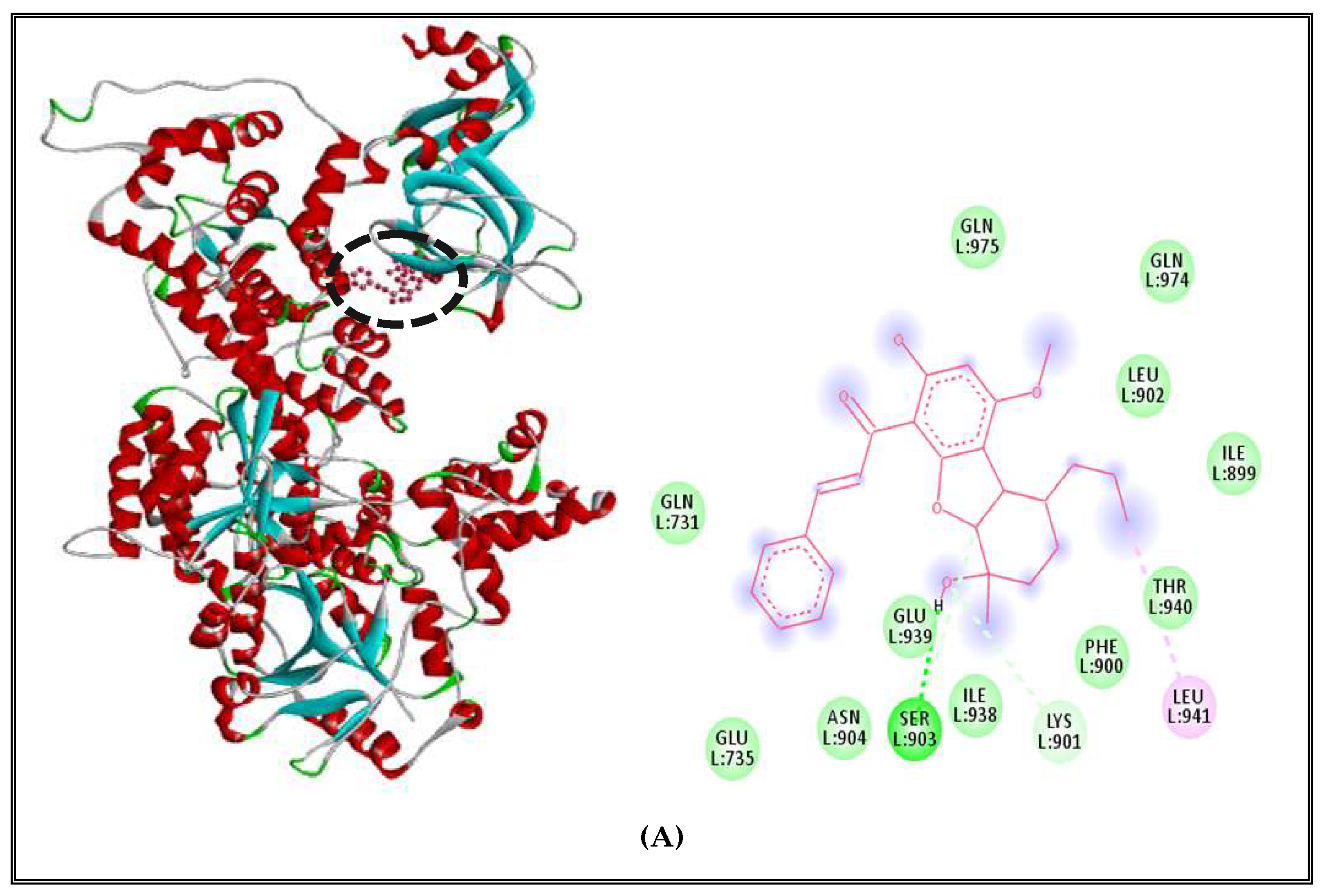 Molecules 27 02630 g008a