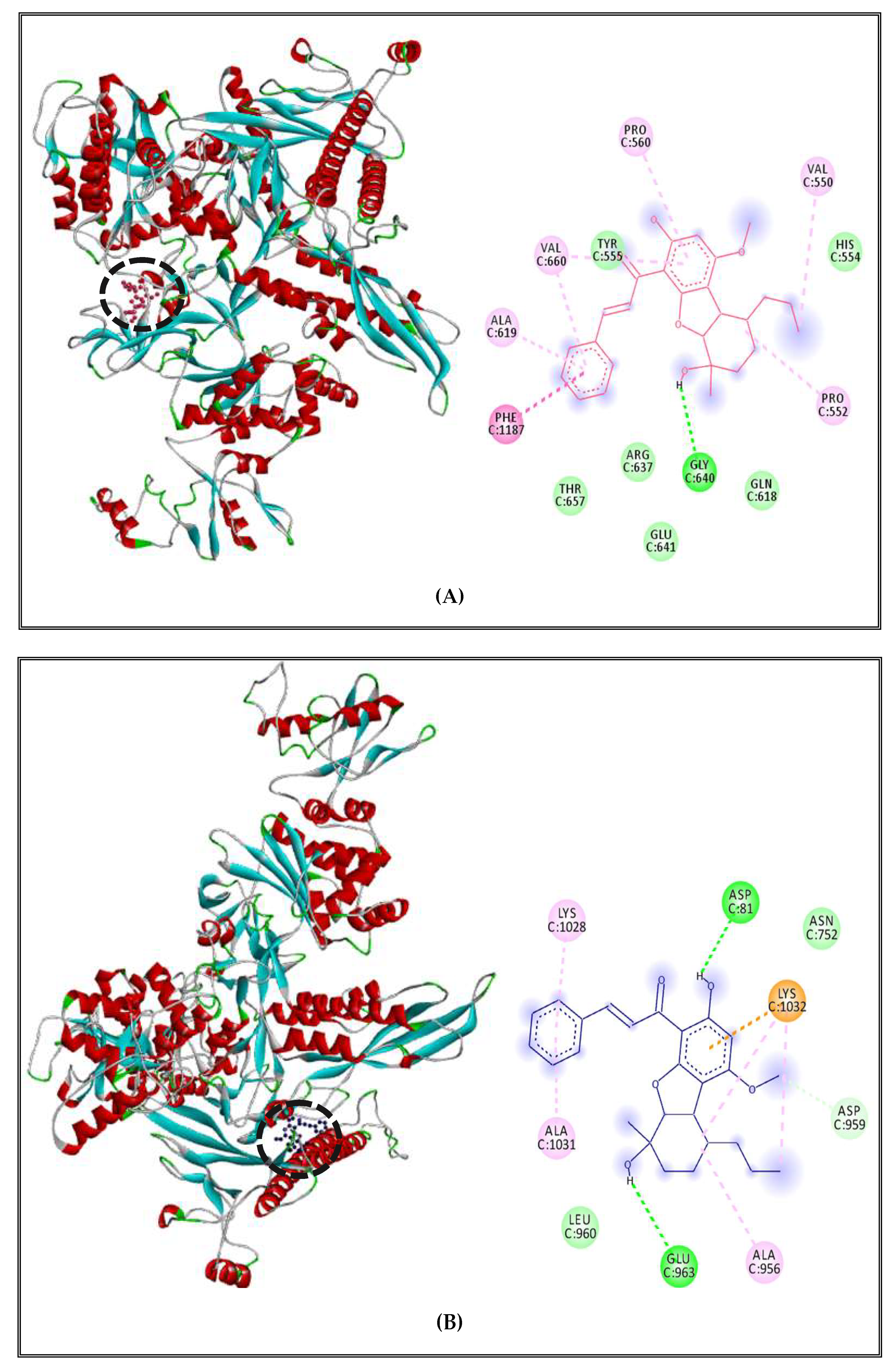 Molecules 27 02630 g009a