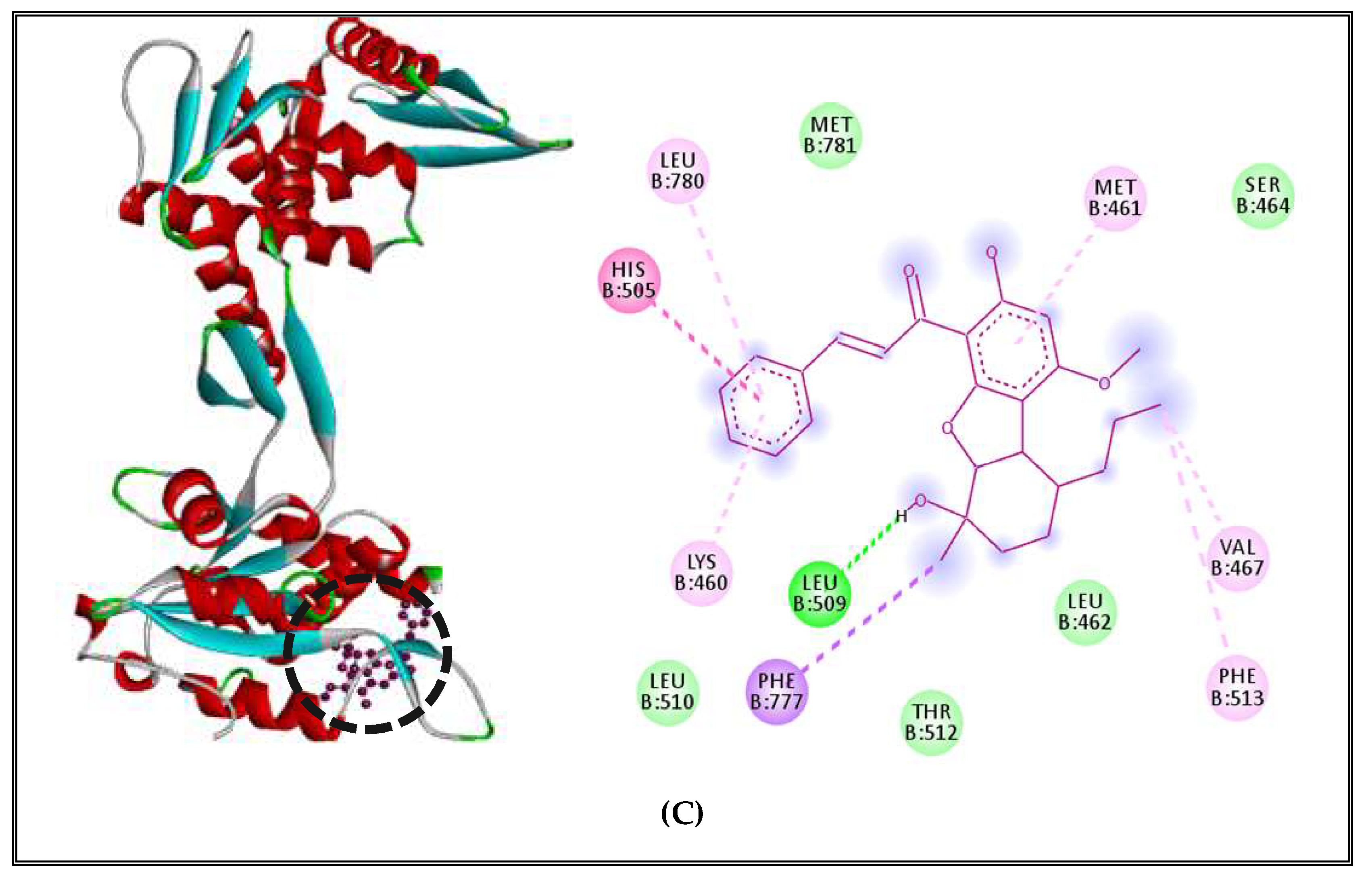 Molecules 27 02630 g009b