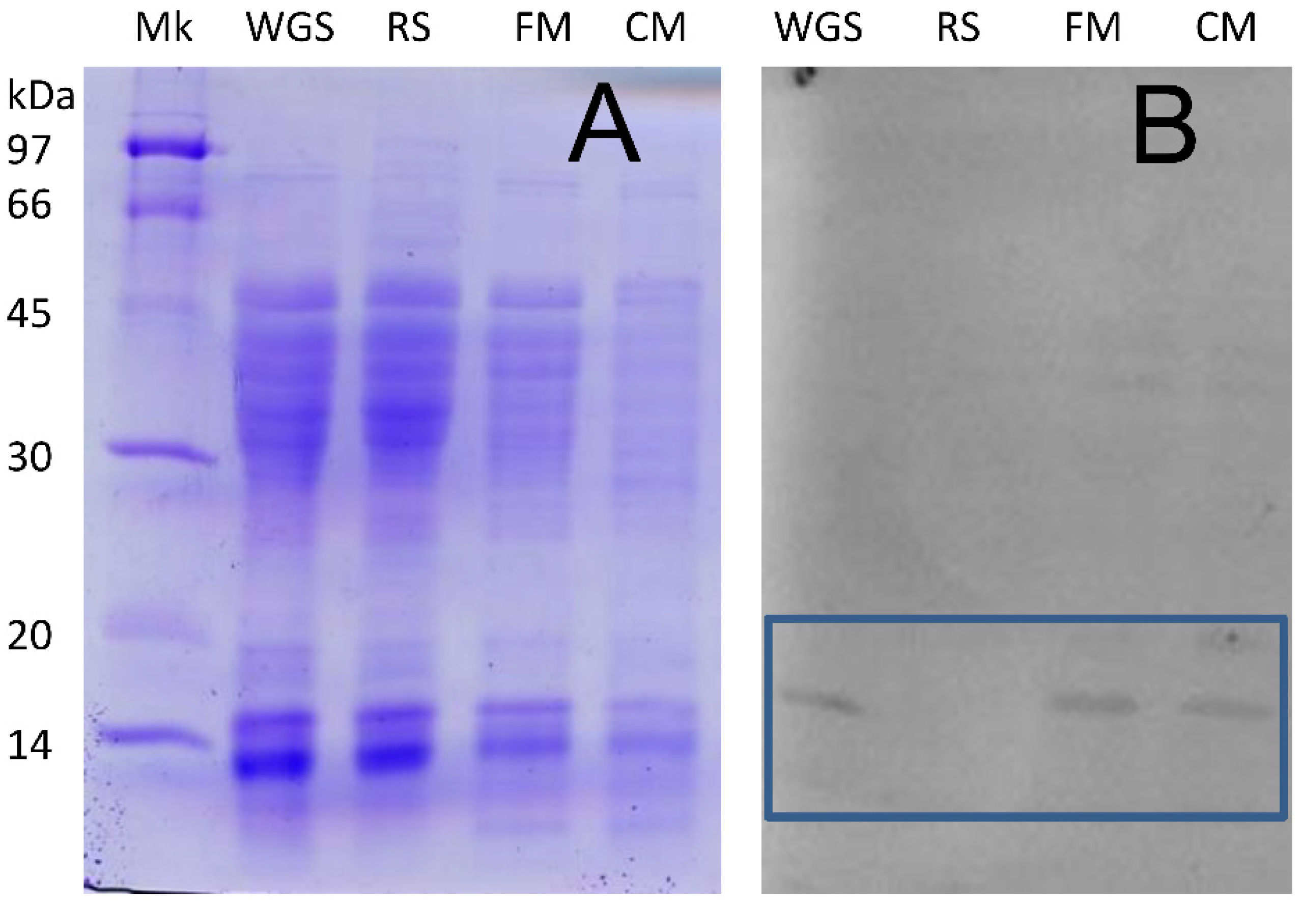 Molecules 27 02637 g002