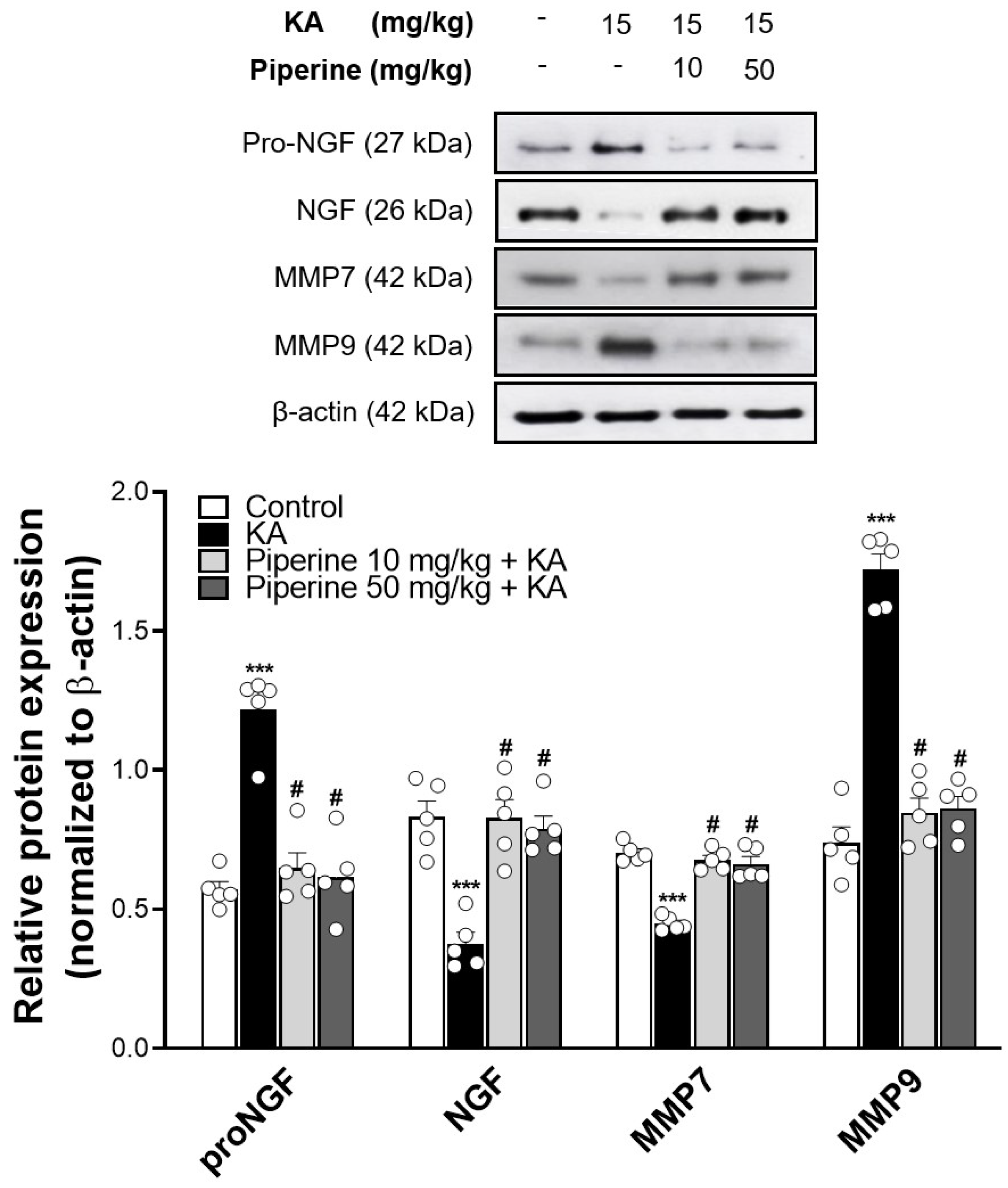 Molecules 27 02638 g005