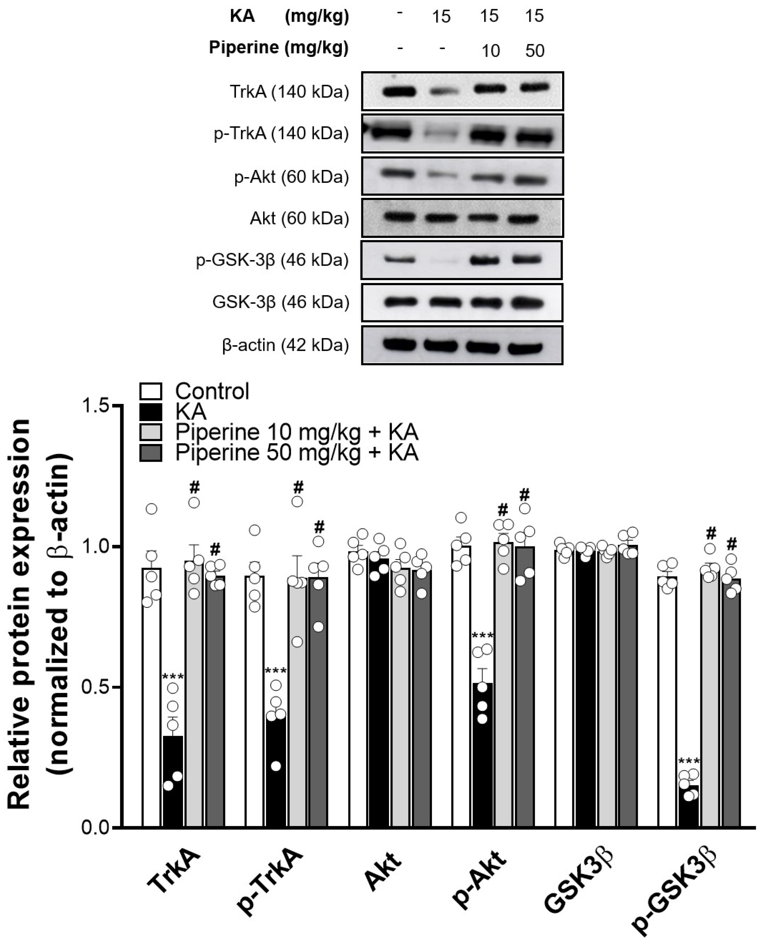 Molecules 27 02638 g006