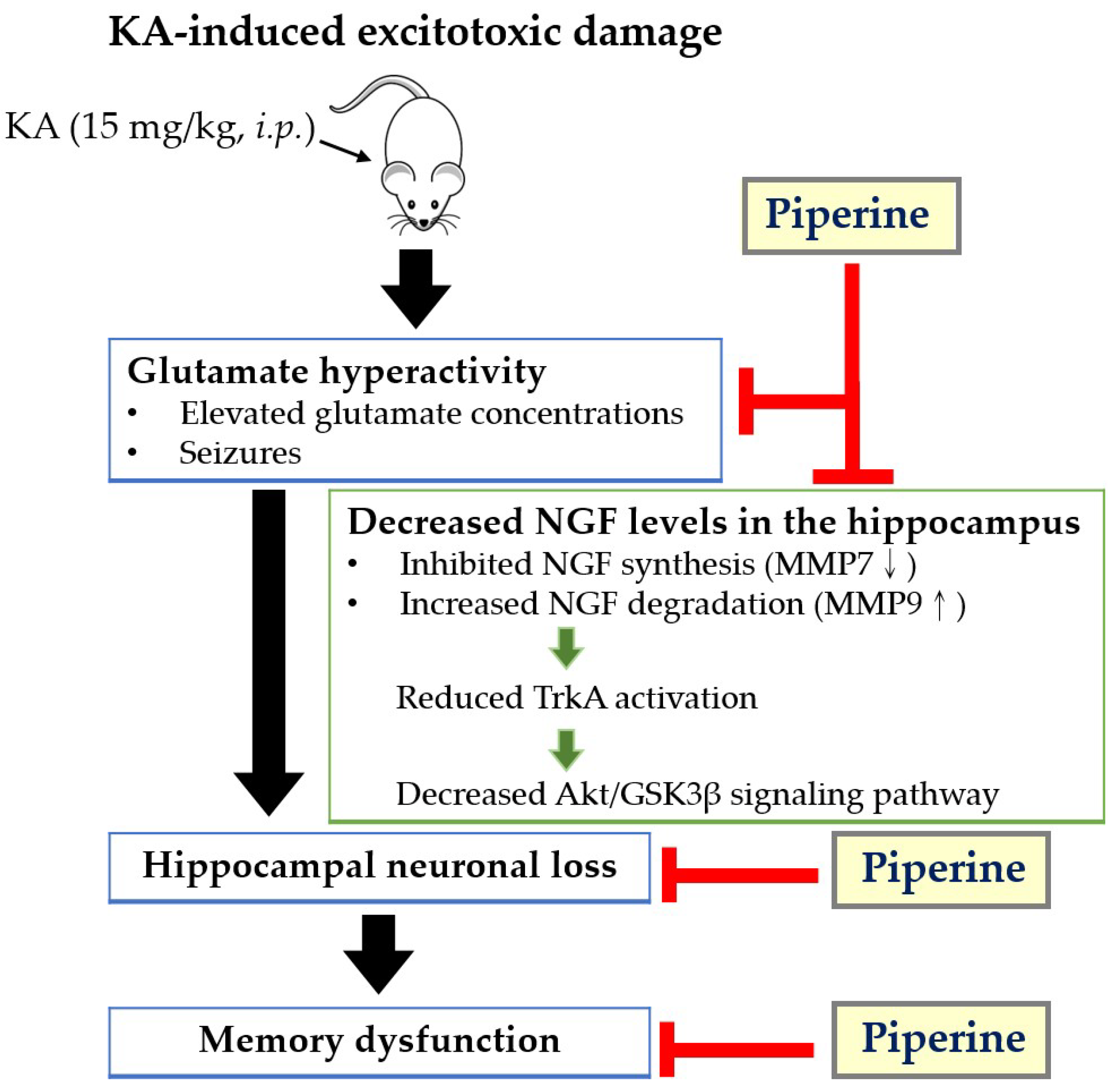 Molecules 27 02638 g008