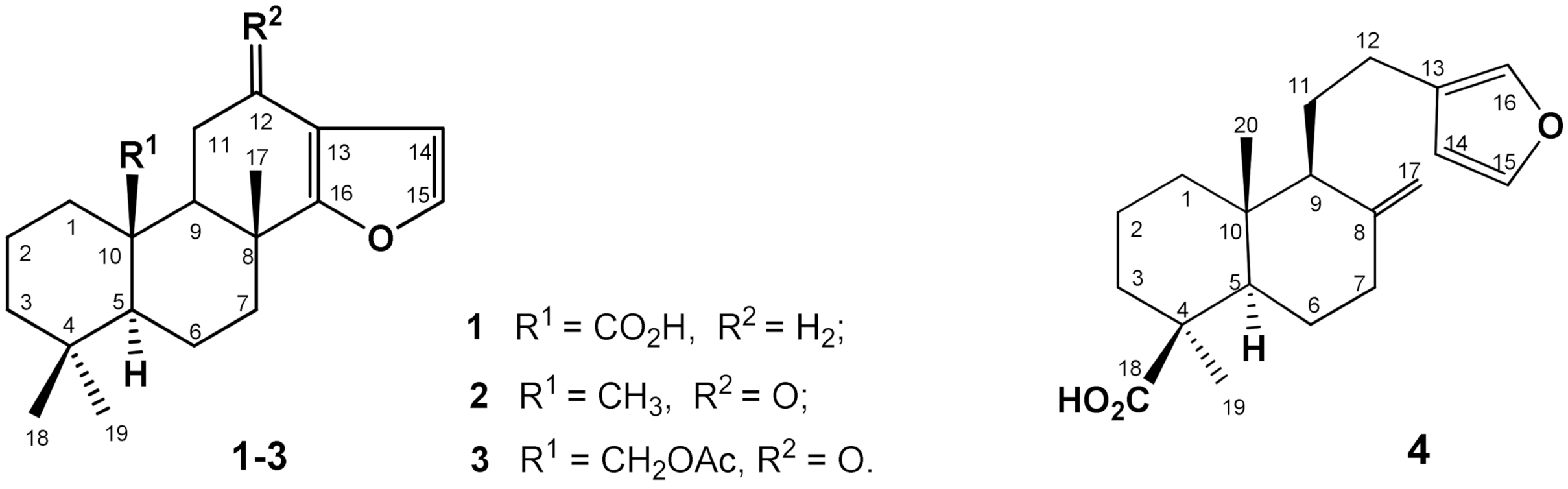 Molecules 27 02643 g001