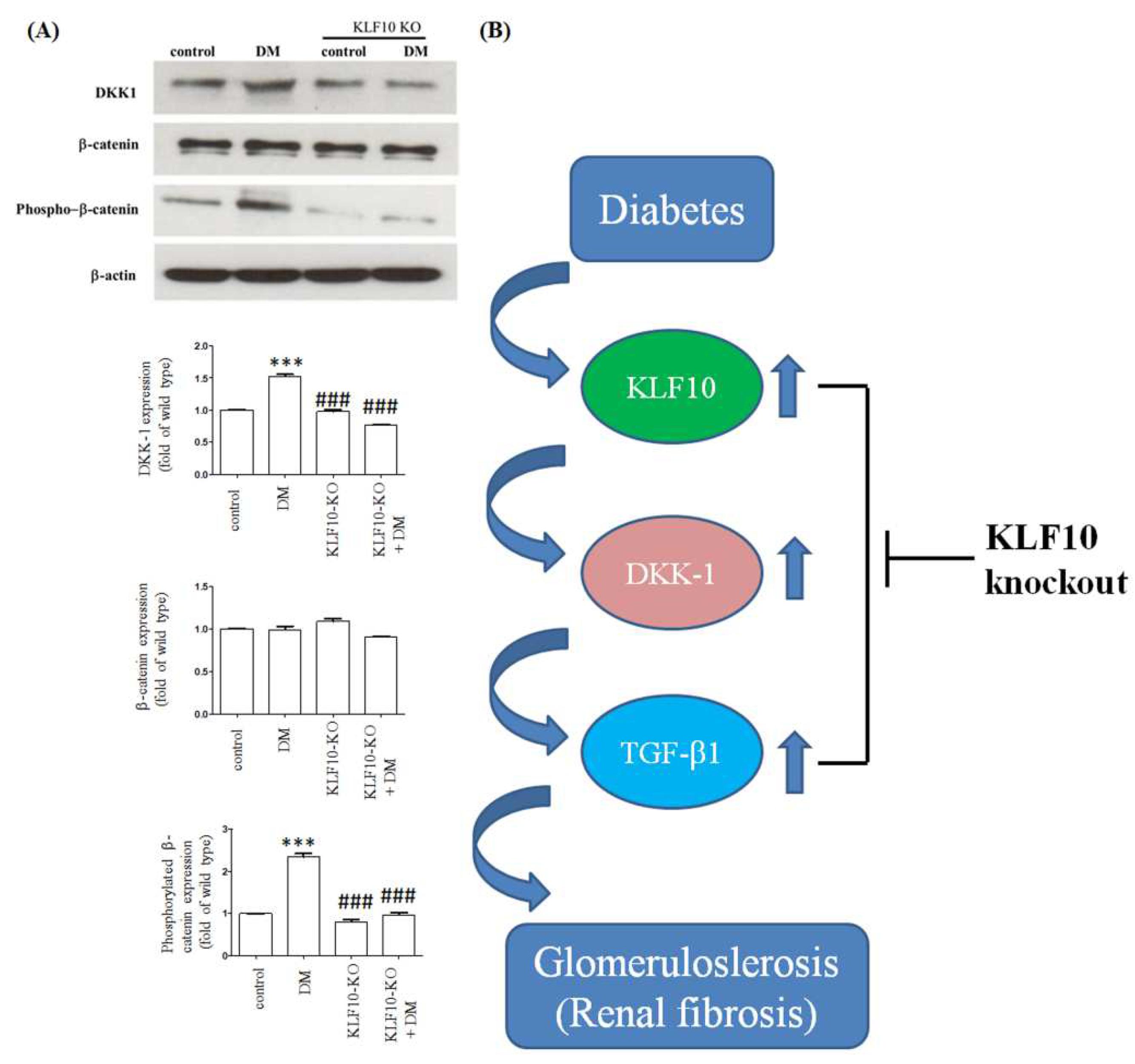 Molecules 27 02644 g006 550