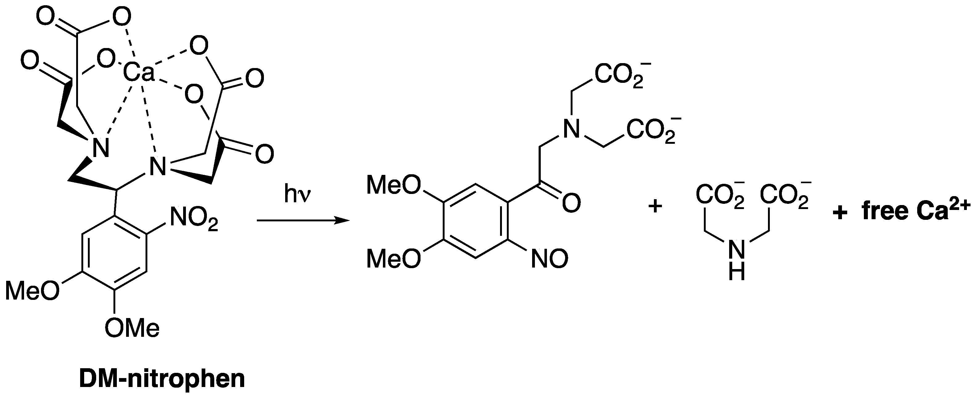 Molecules 27 02645 g001 550