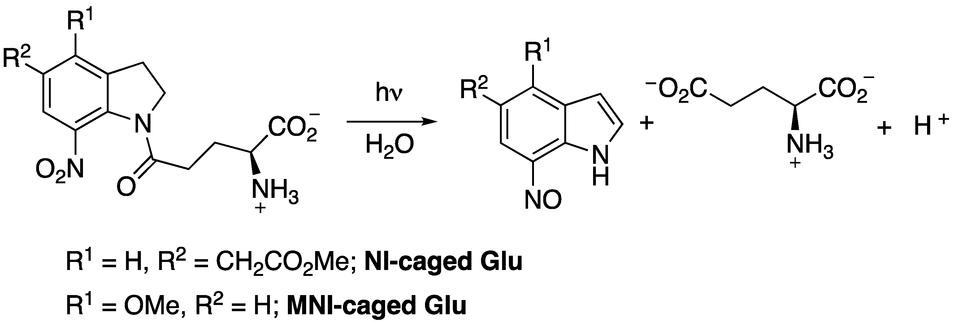 Molecules 27 02645 g002 550