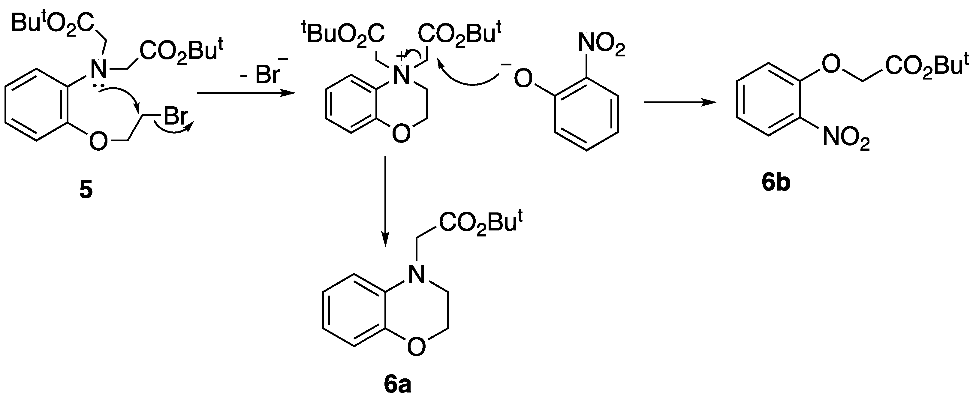 Molecules 27 02645 sch002 550