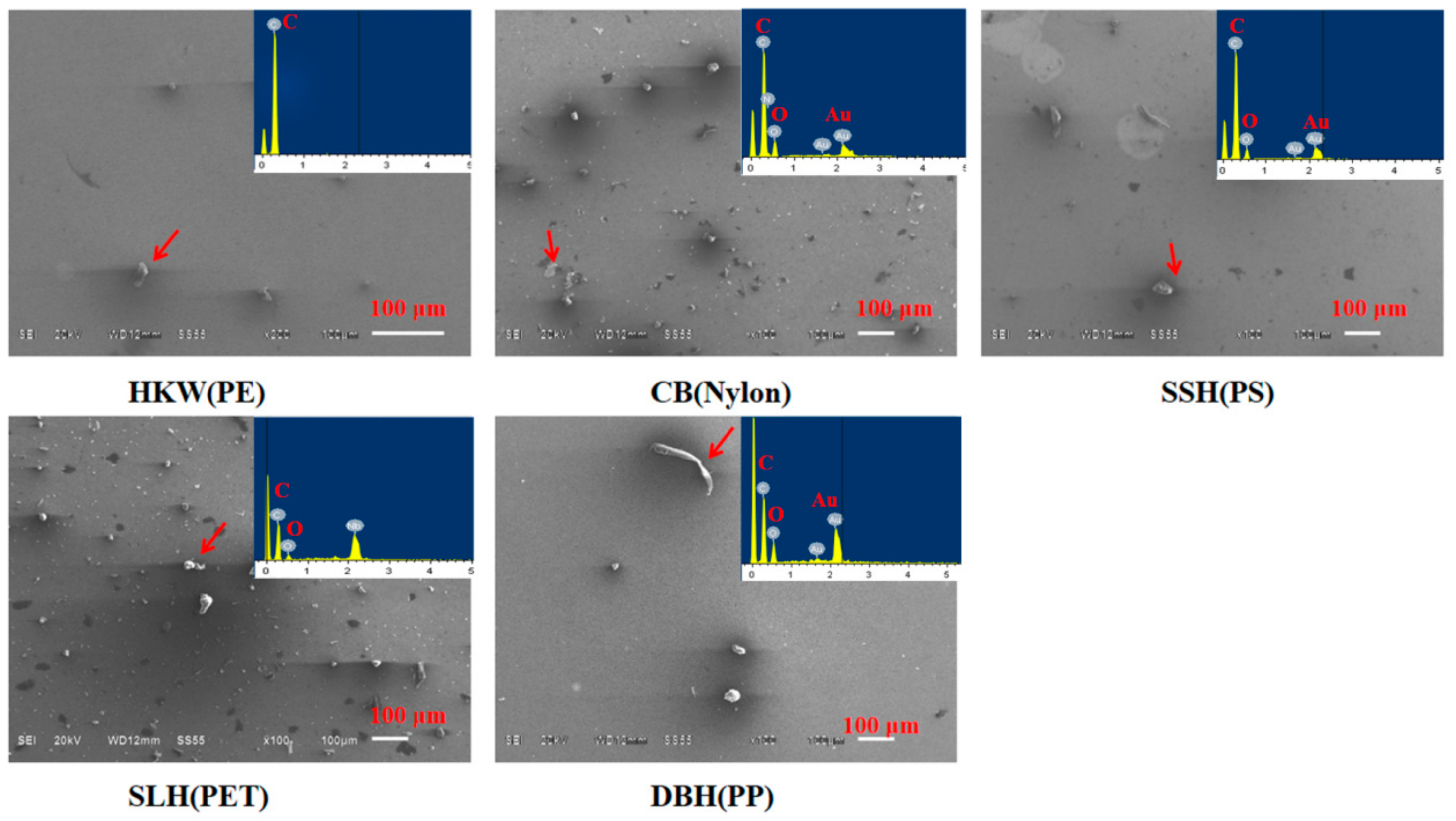 Molecules 27 02646 g005